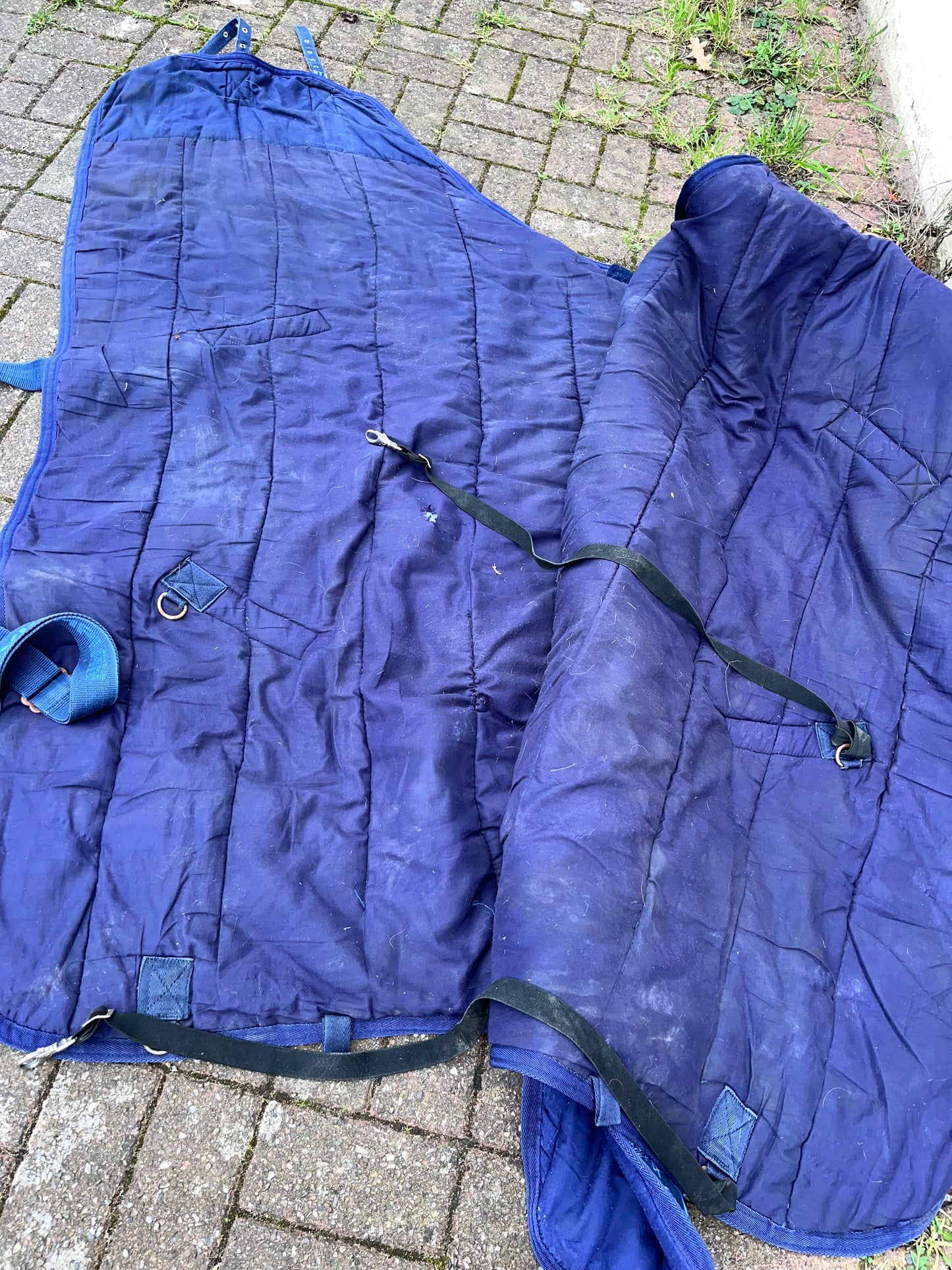 Olympian Stable Rug 5’9 250 g