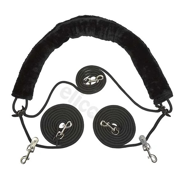 ELICO BEST OF HORSE TRAINING SYSTEM