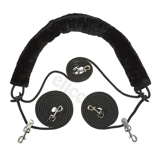 ELICO BEST OF HORSE TRAINING SYSTEM