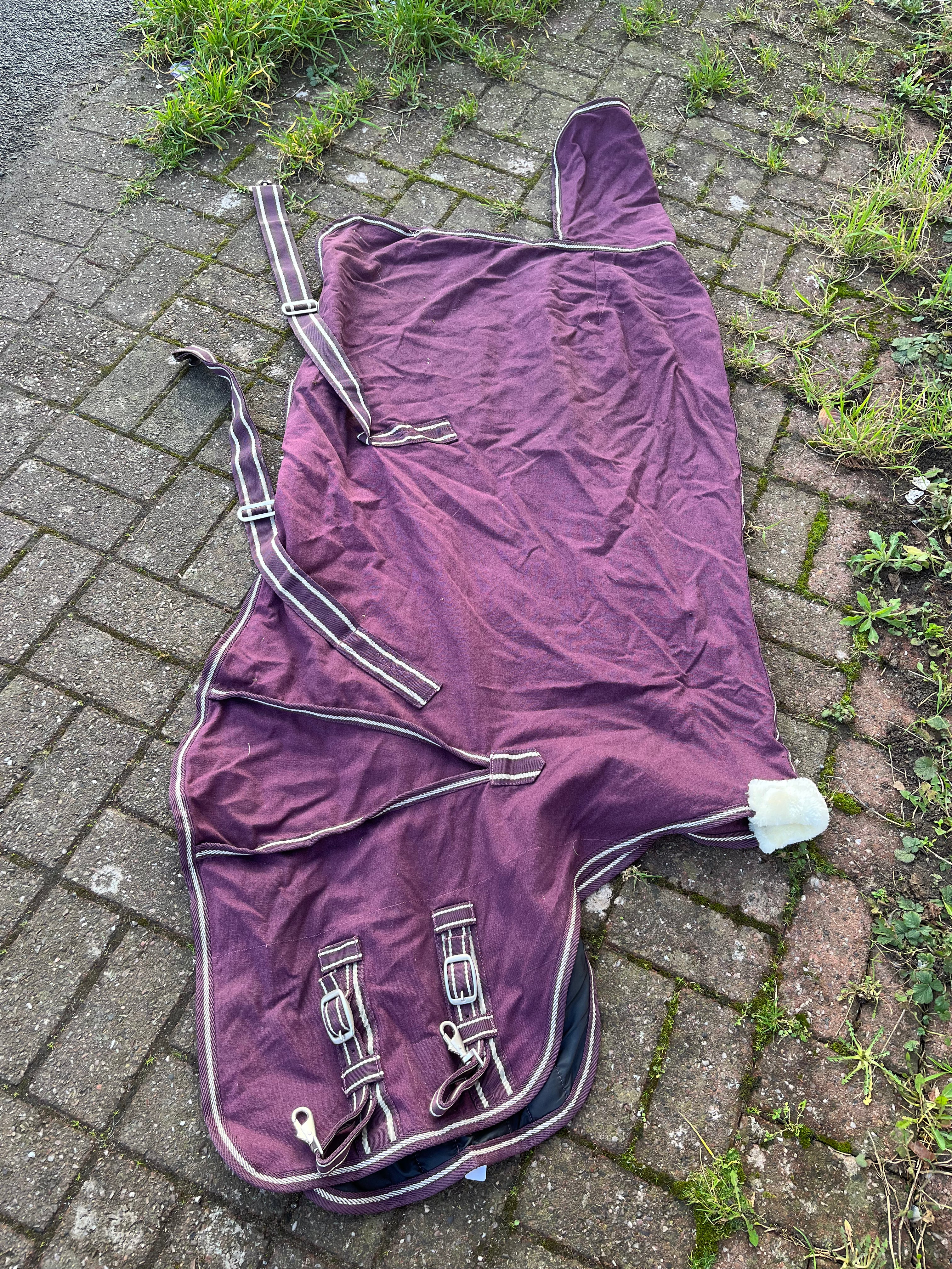 Ruggles Stable / Summer Sheet 5 Ft