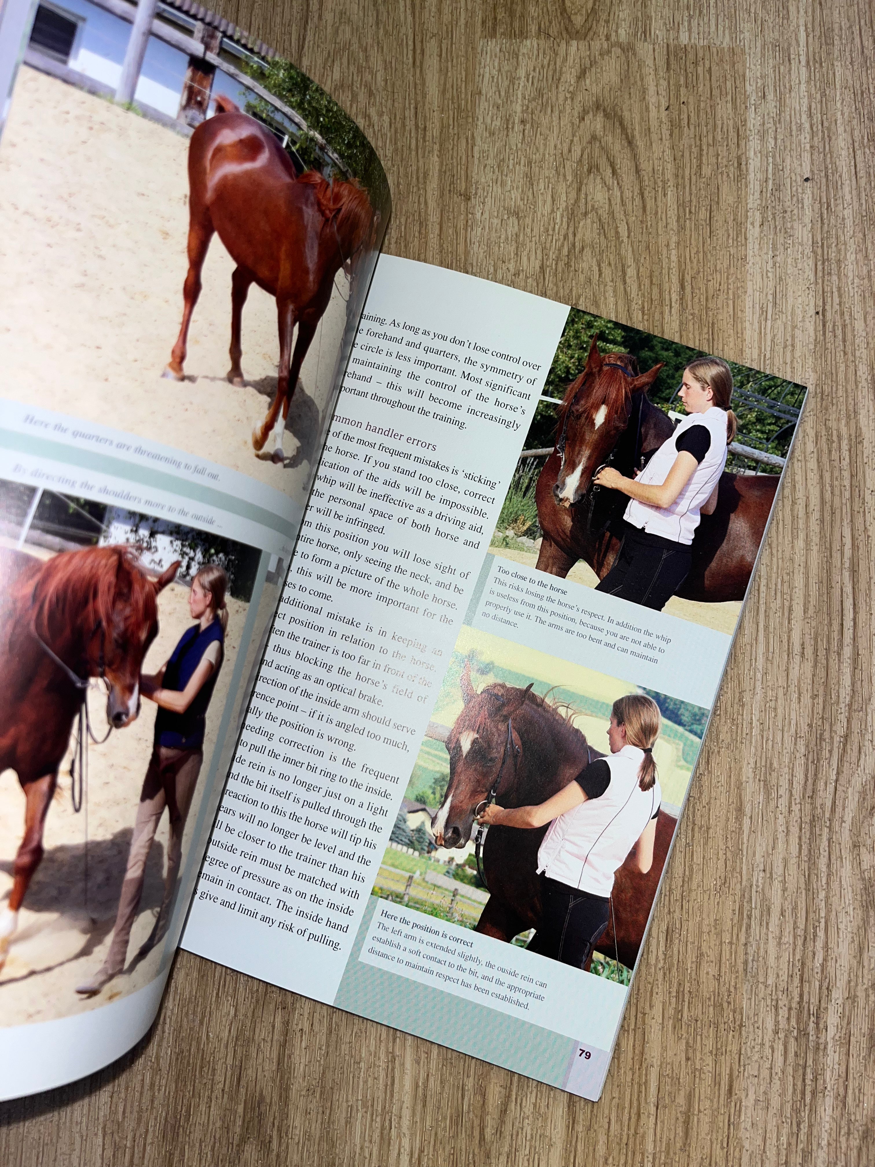 Schooling Exercises In Hand