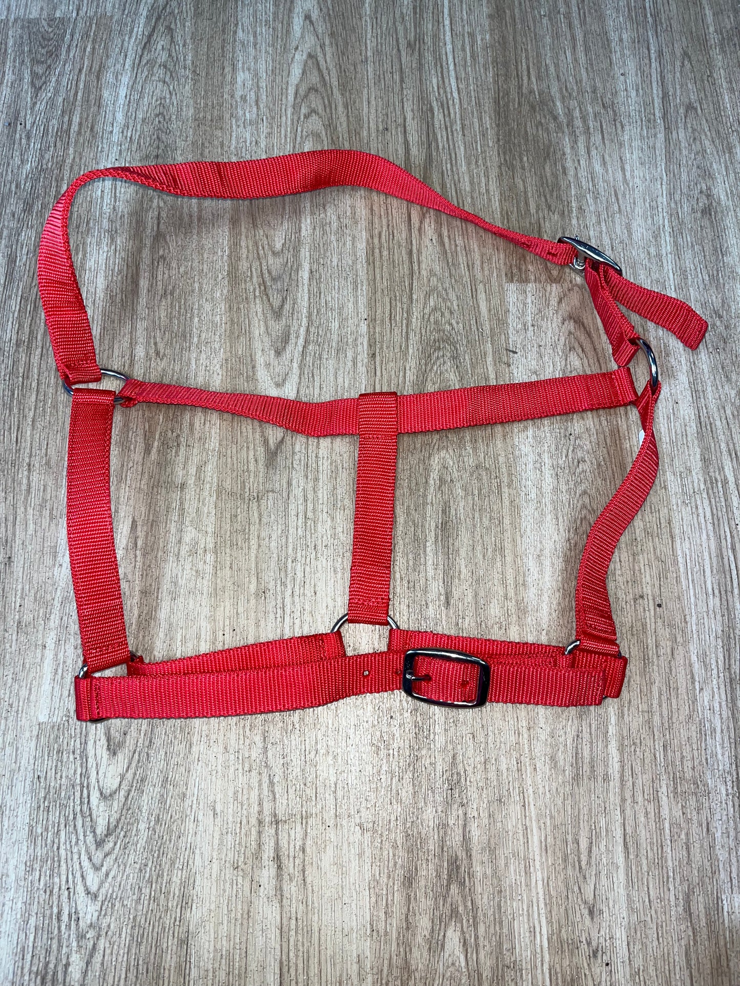 Red Nylon Headcollar Size Full