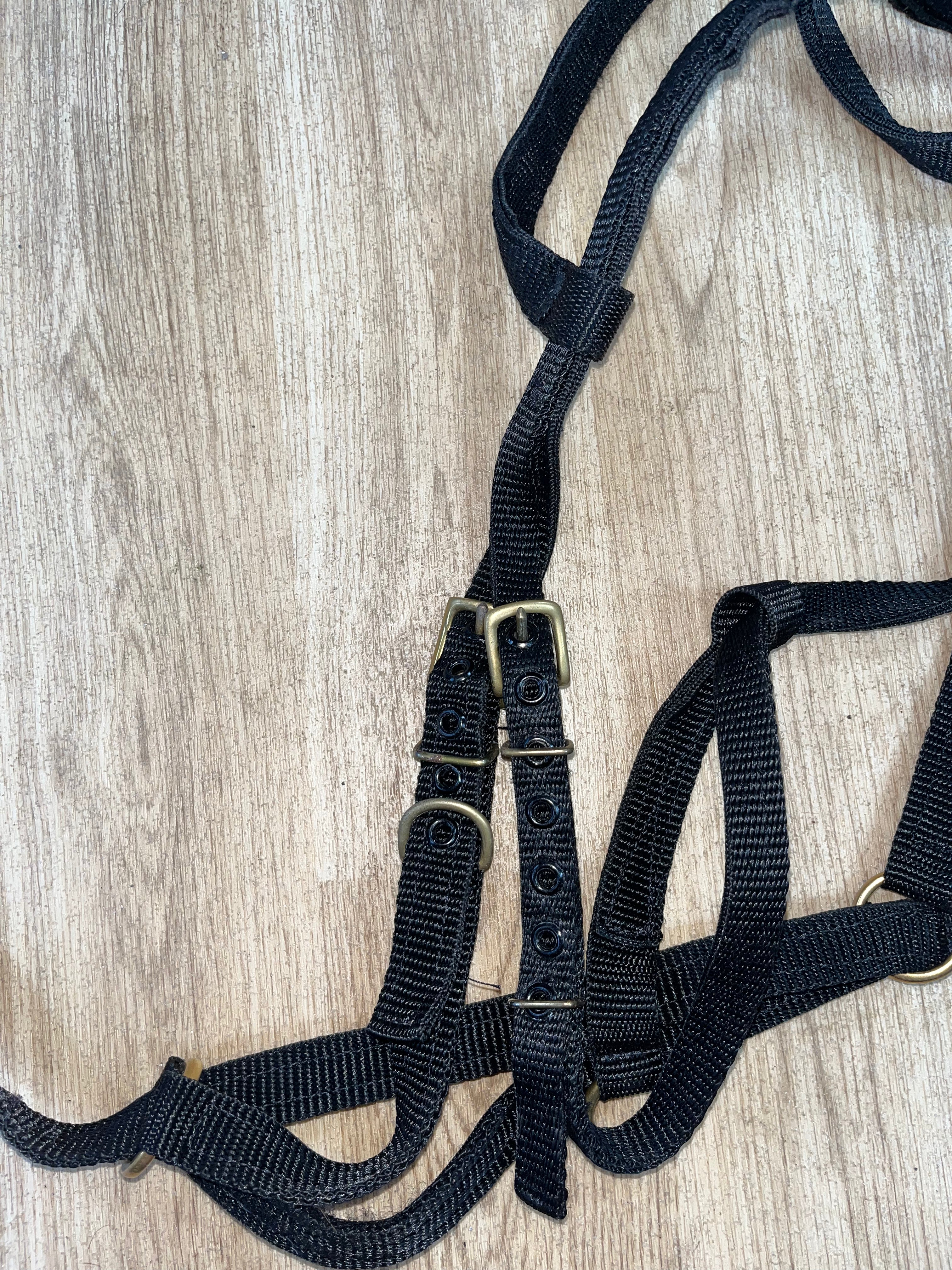 Synthetic Black Bitless Bridle Full