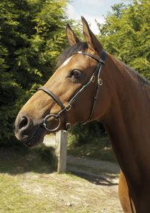 Heritage English Leather Inhand Bridle