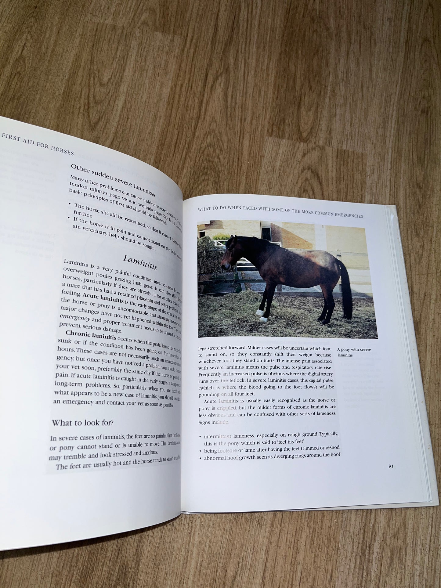 First Aid For Horses By Karen Coumbe