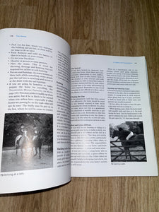 The Manual Of Horsemanship The Pony Club