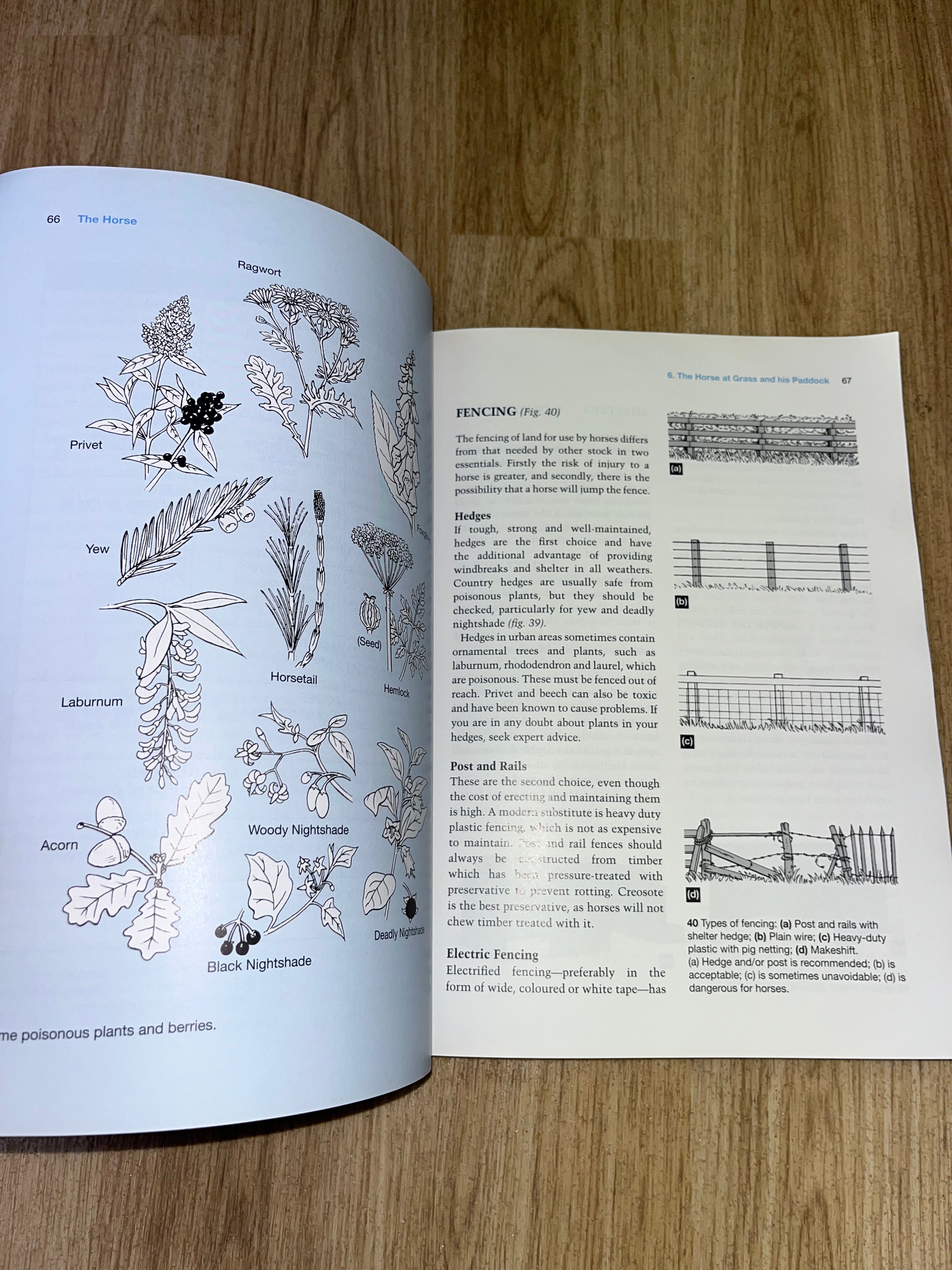 The Manual Of Horsemanship The Pony Club
