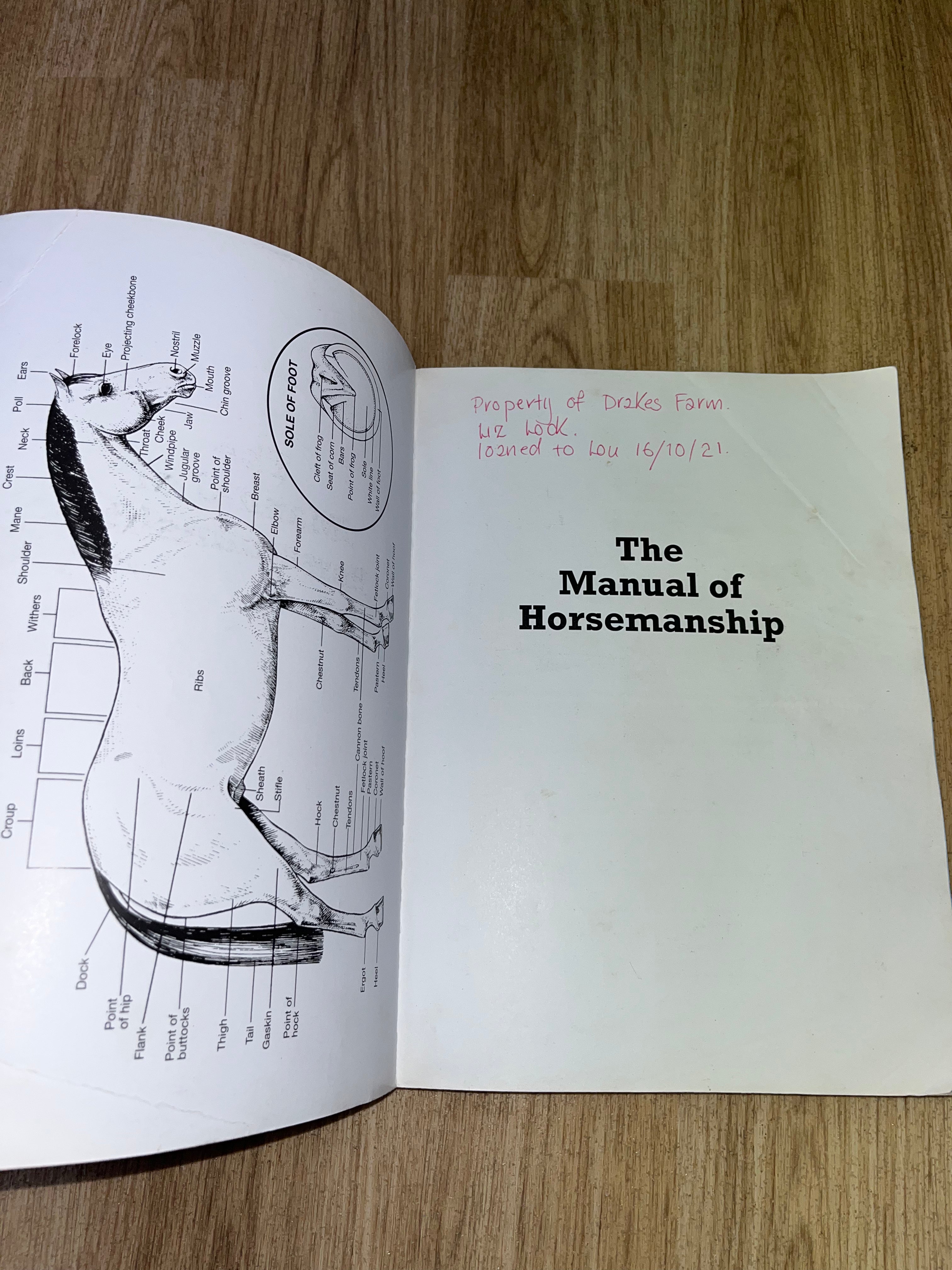 The Manual Of Horsemanship The Pony Club