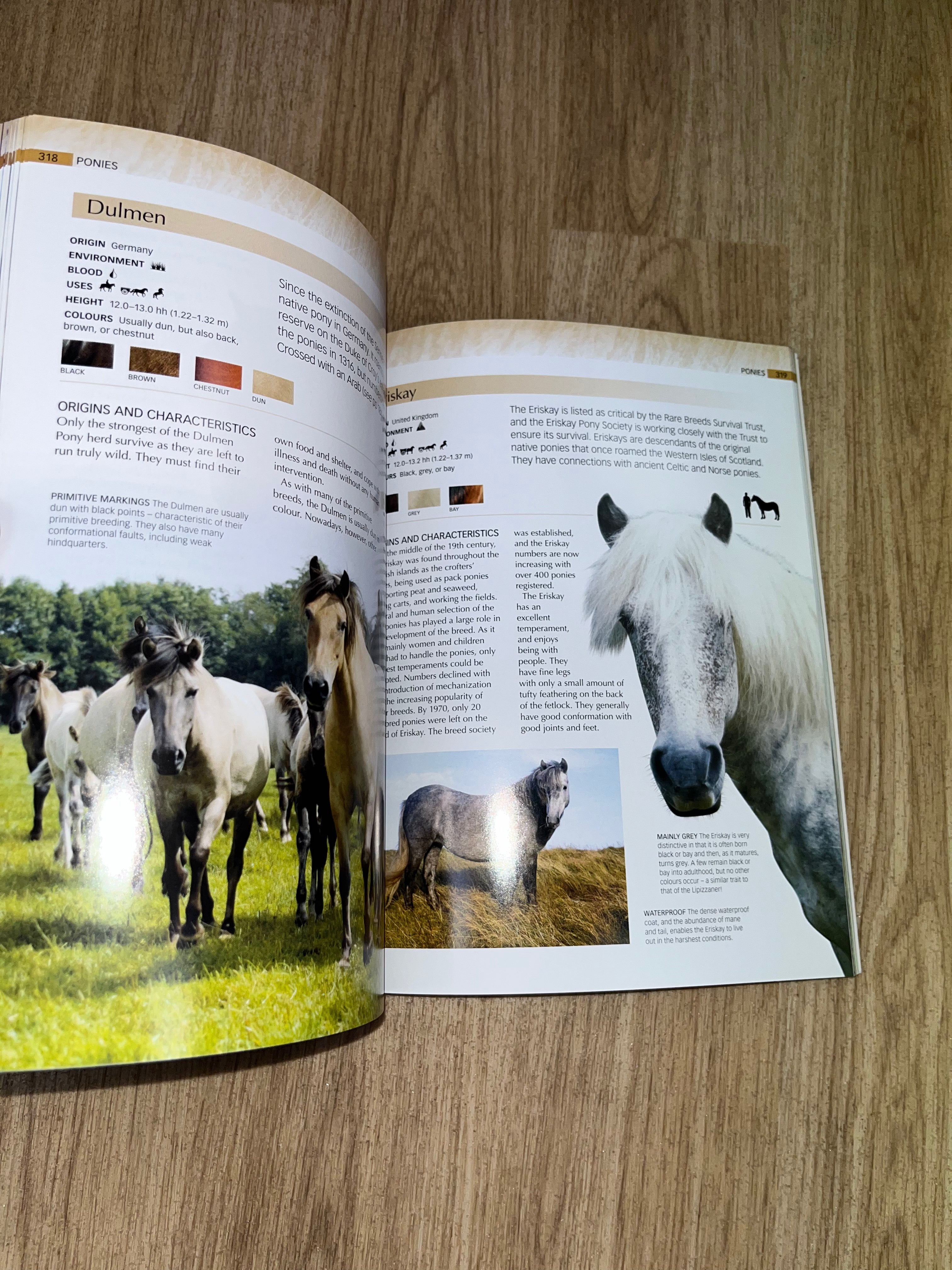 Encyclopaedia Of Horse’s