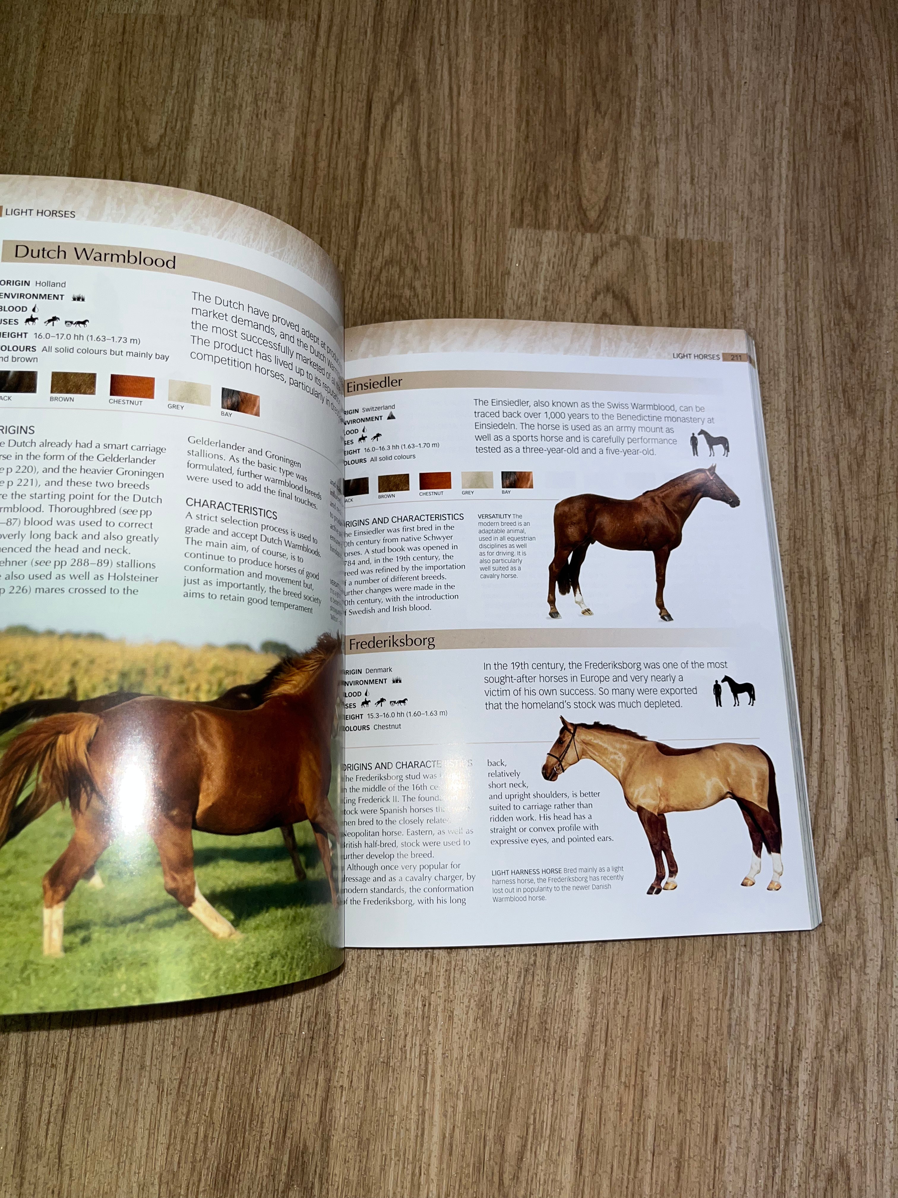 Encyclopaedia Of Horse’s