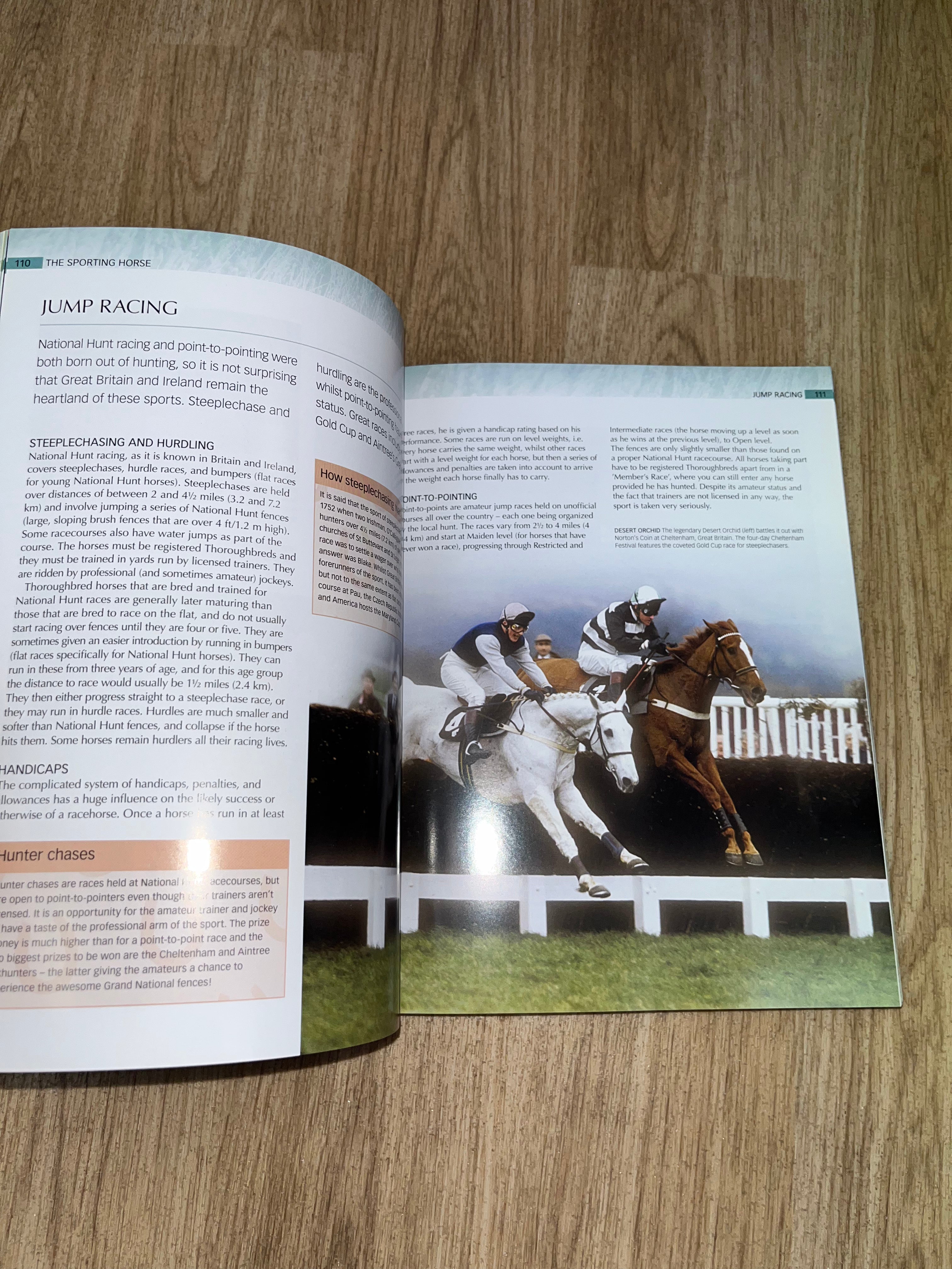 Encyclopaedia Of Horse’s