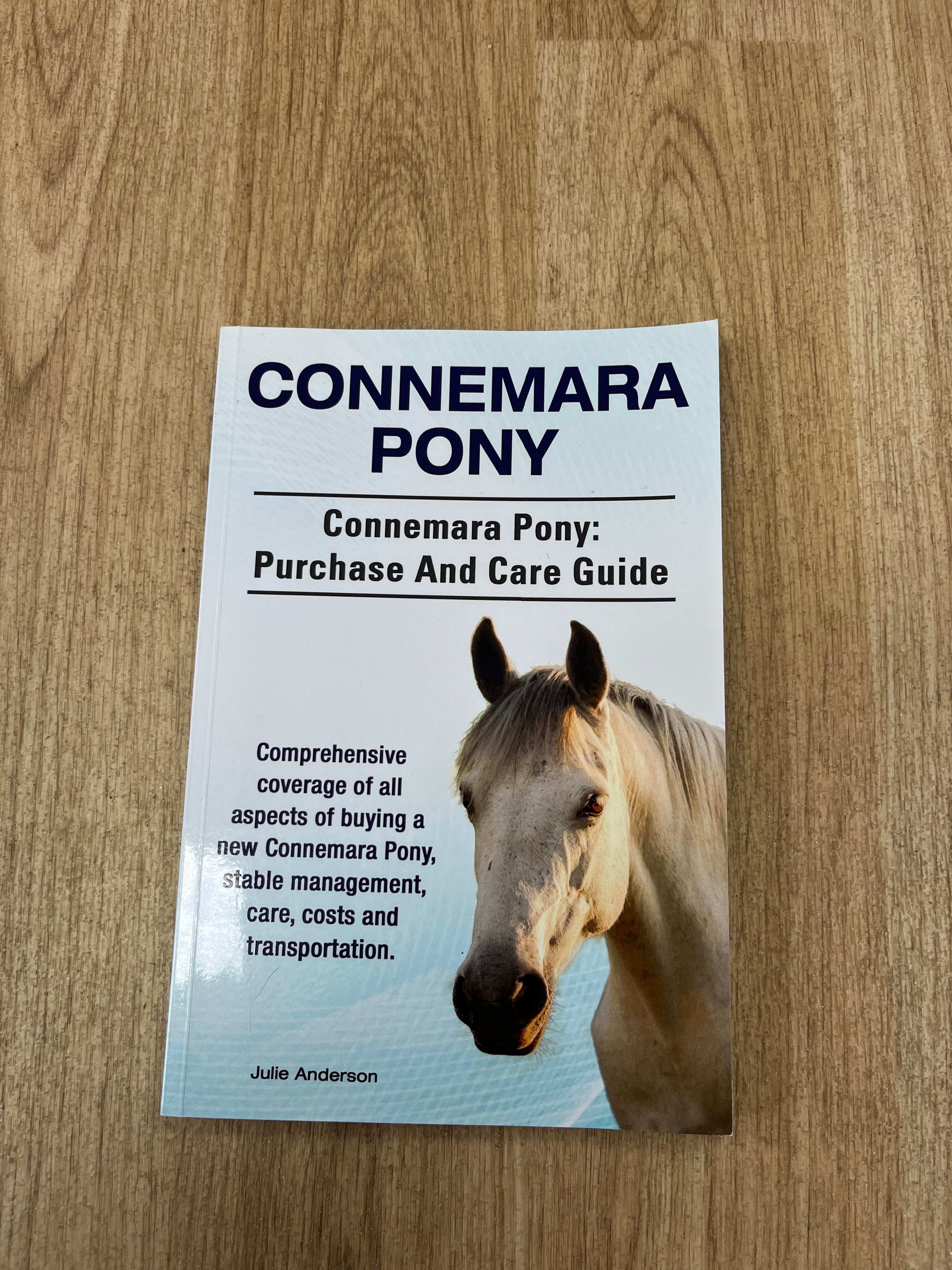 Connemara Pony Purchase And Care Guide