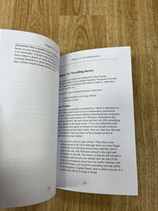 Connemara Pony Purchase And Care Guide