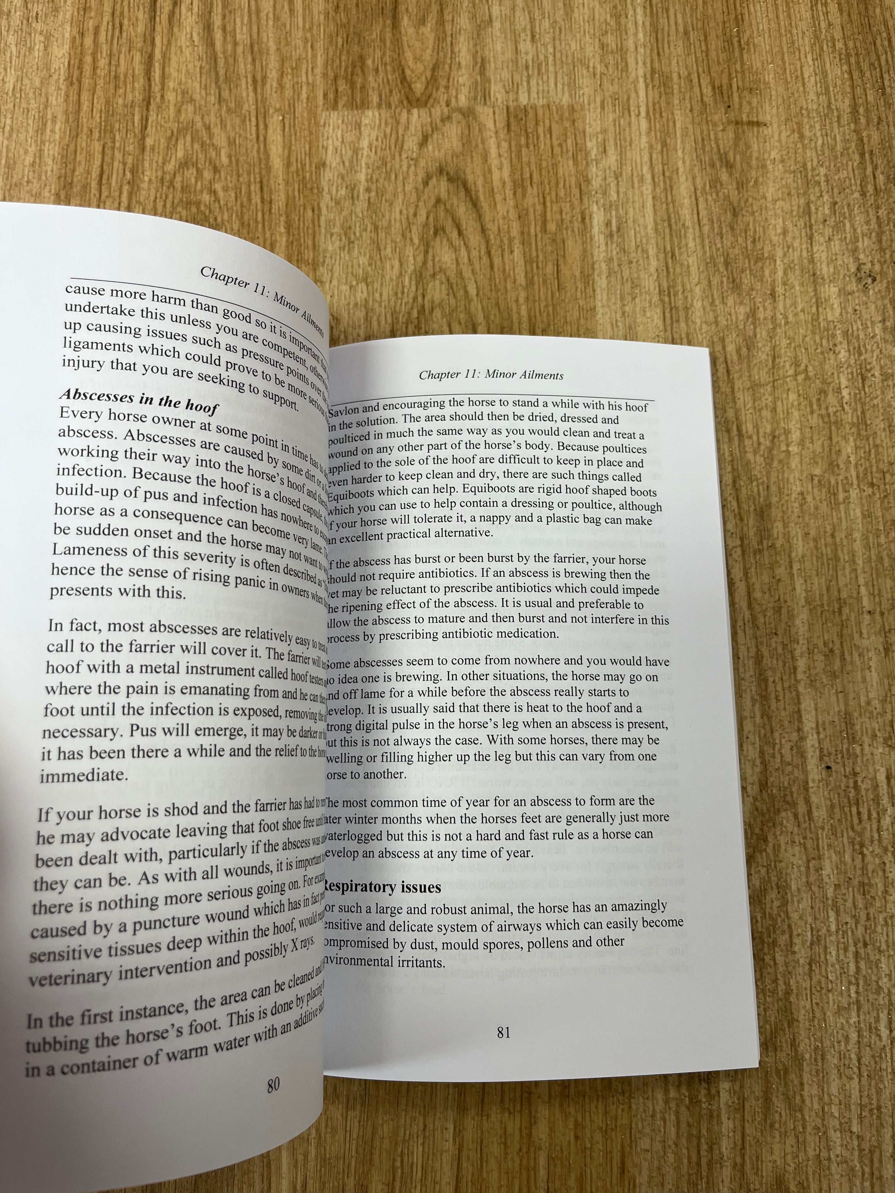 Connemara Pony Purchase And Care Guide
