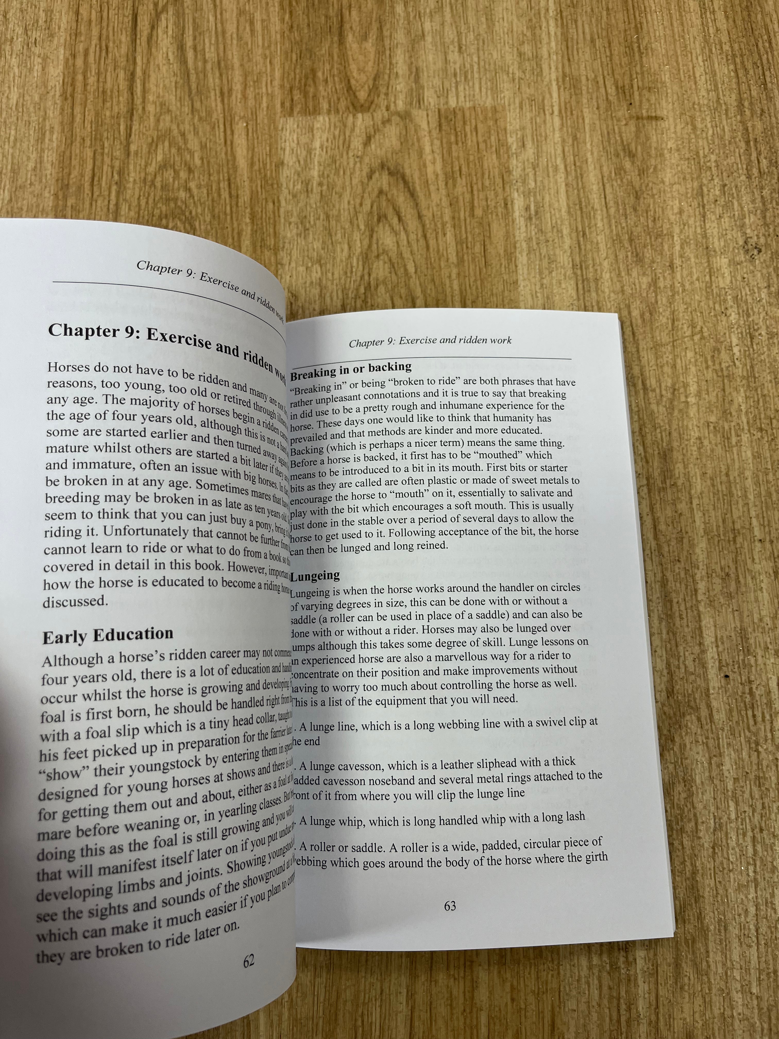 Connemara Pony Purchase And Care Guide
