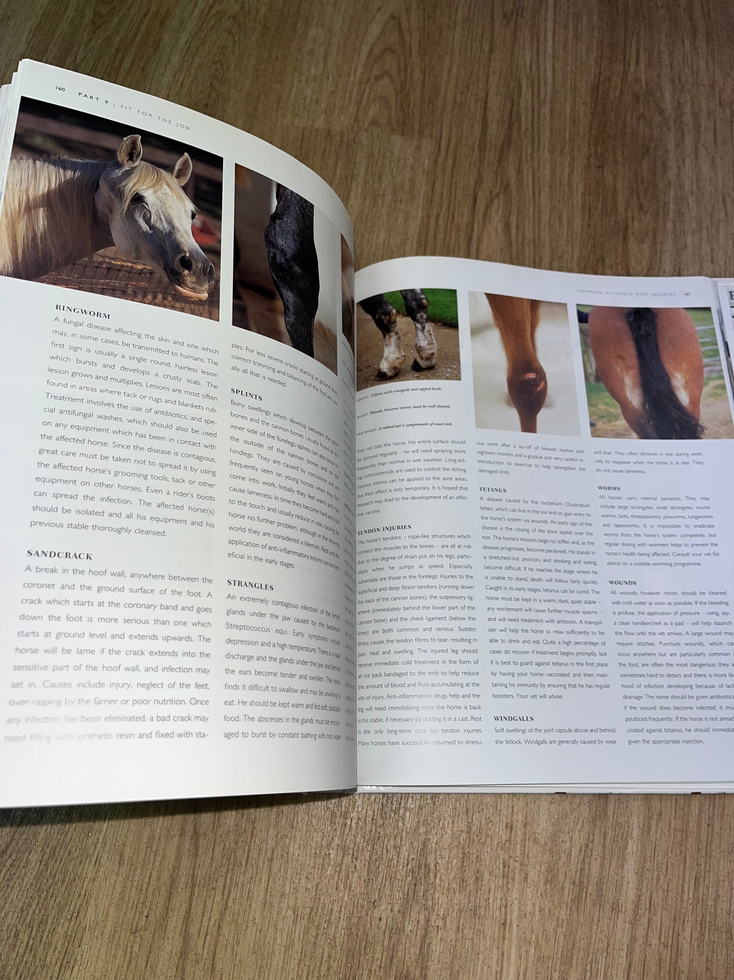 The Book Of The Horse