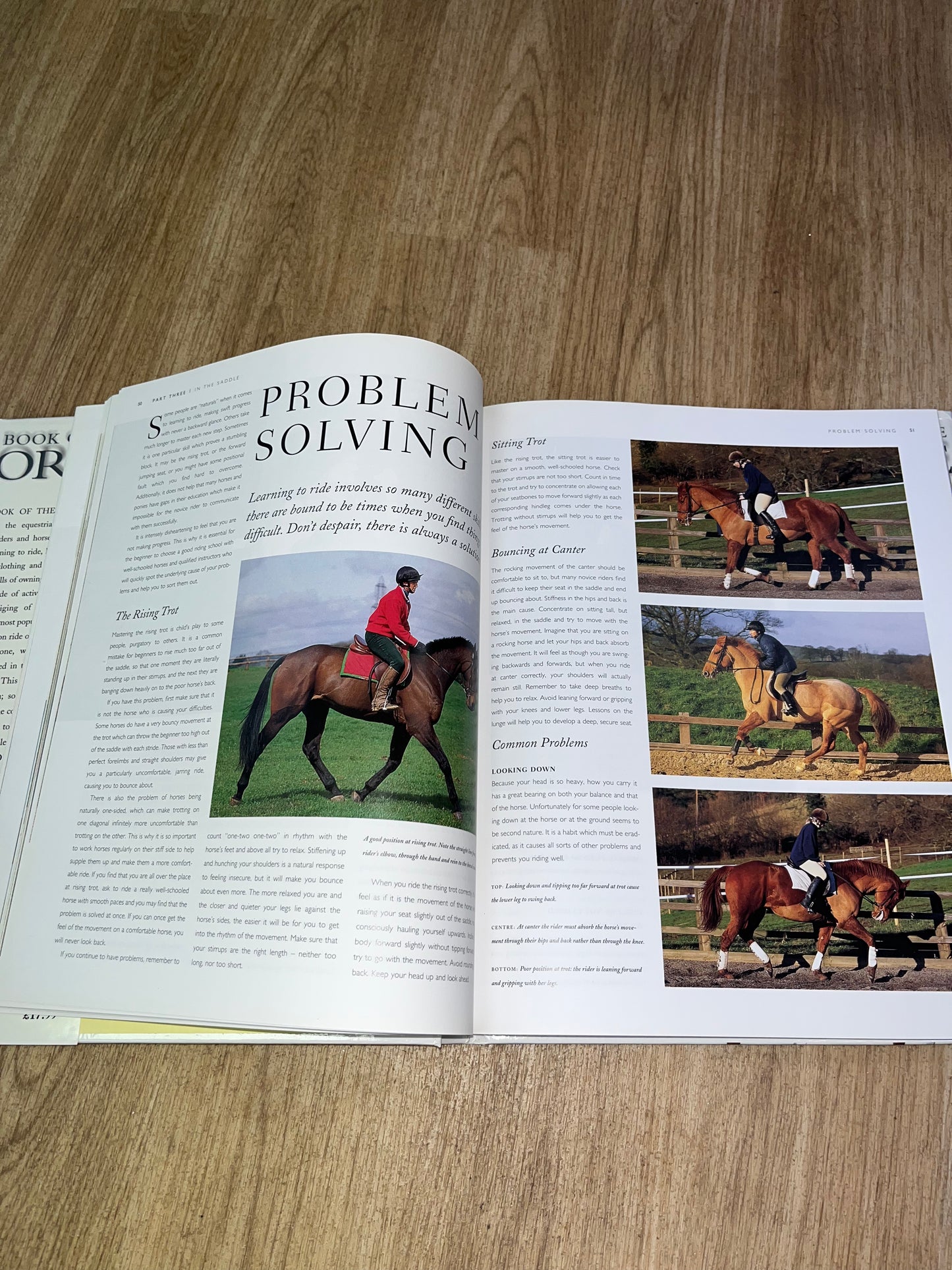 The Book Of The Horse