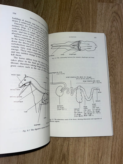 Breeding The Competition Horse