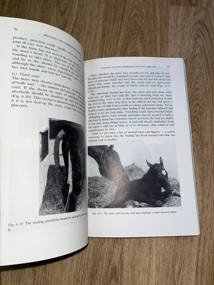 Breeding The Competition Horse