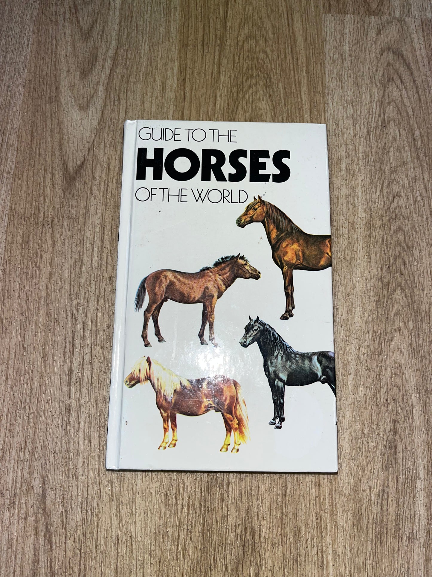 Guide To The Horse’s Of The World