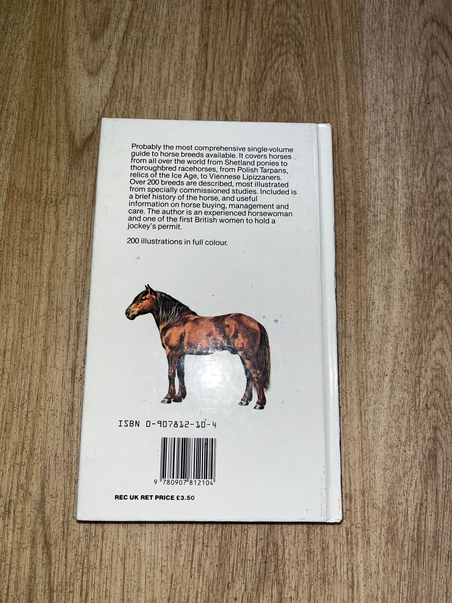 Guide To The Horse’s Of The World