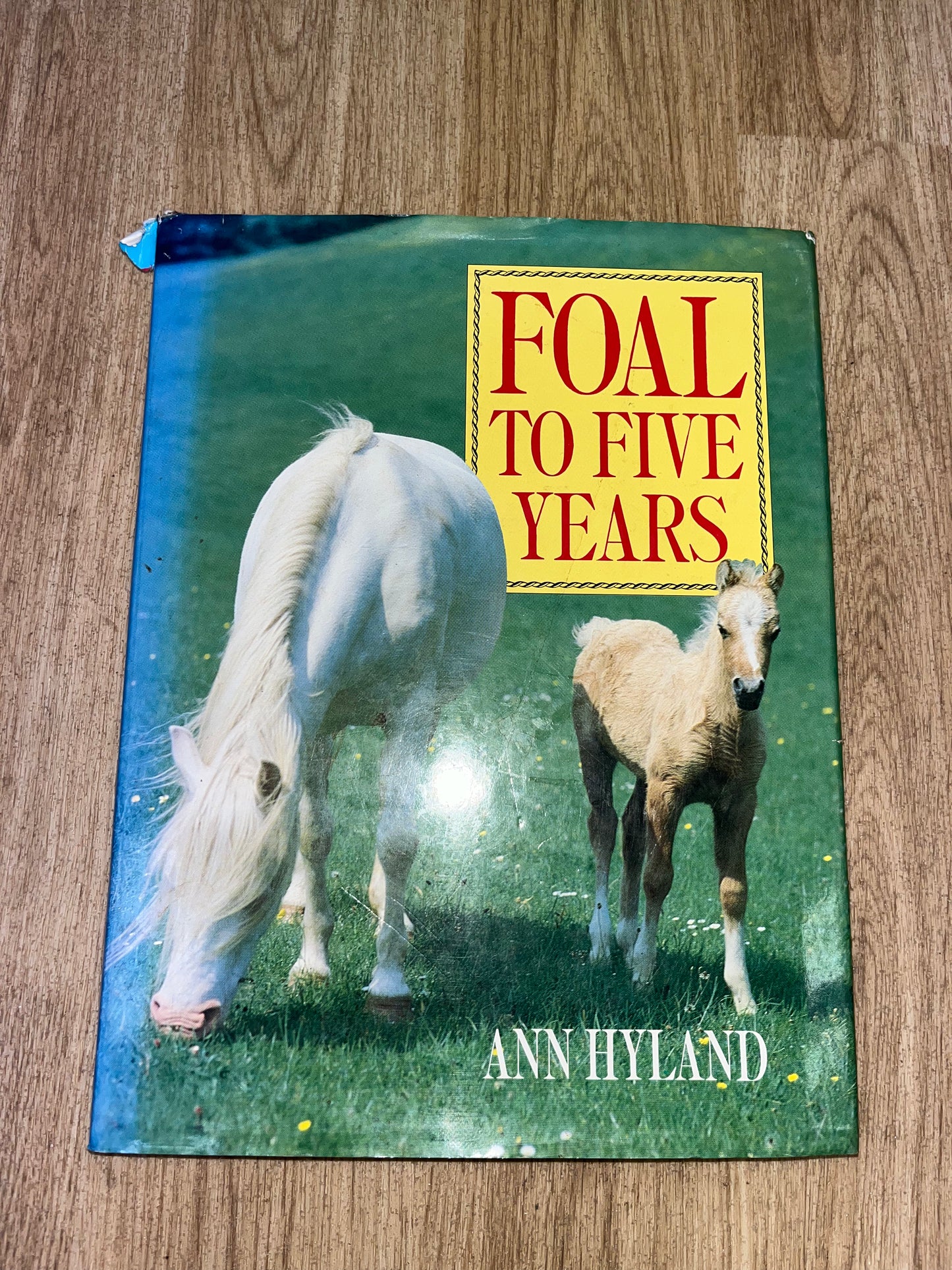 Foal To Five Years