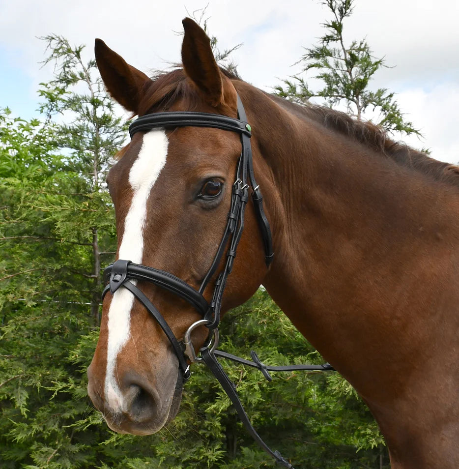 Rhinegold Leather Bridle With Detachable Flash Noseband (Inc Rubber Reins)