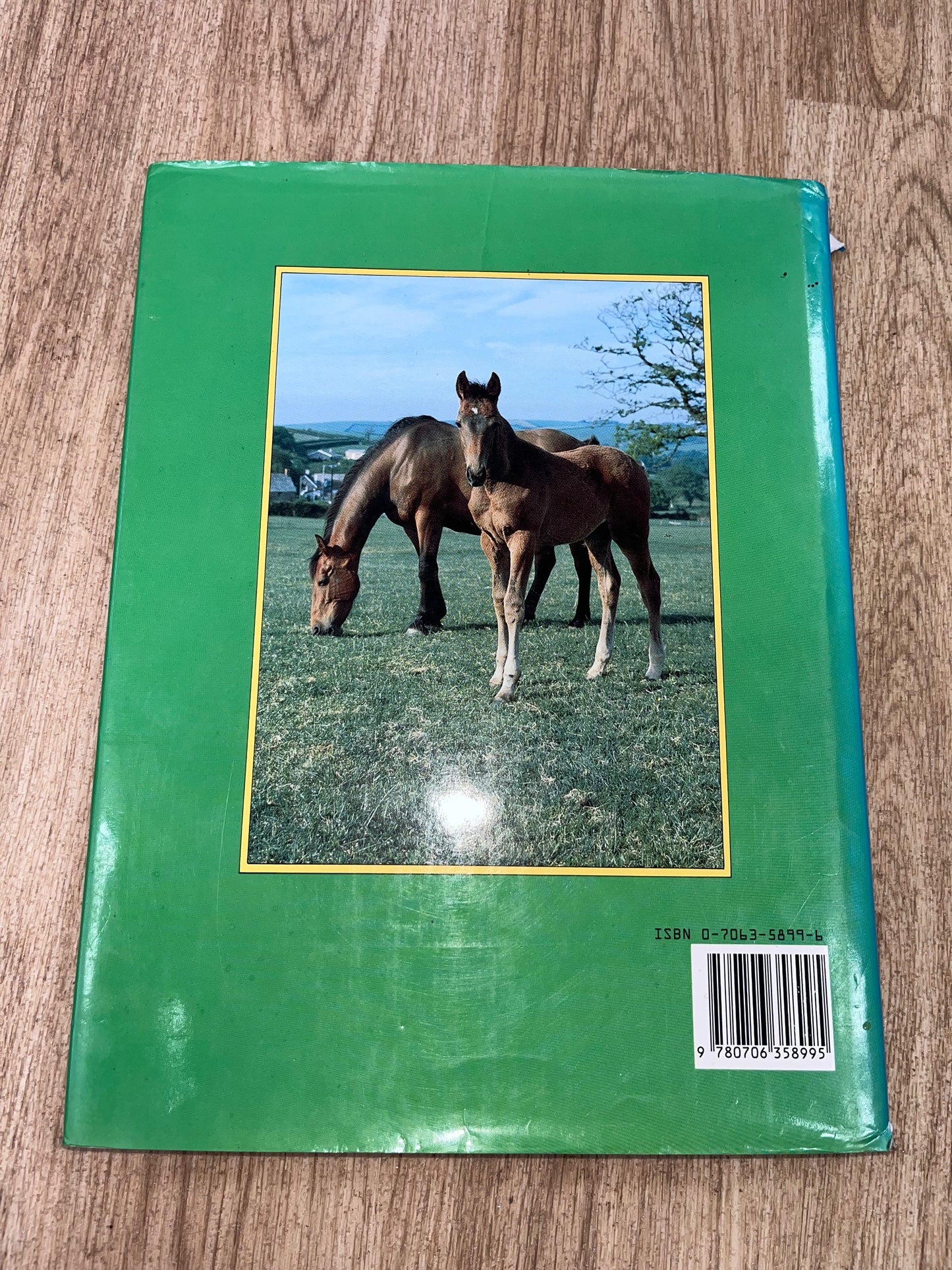 Foal To Five Years