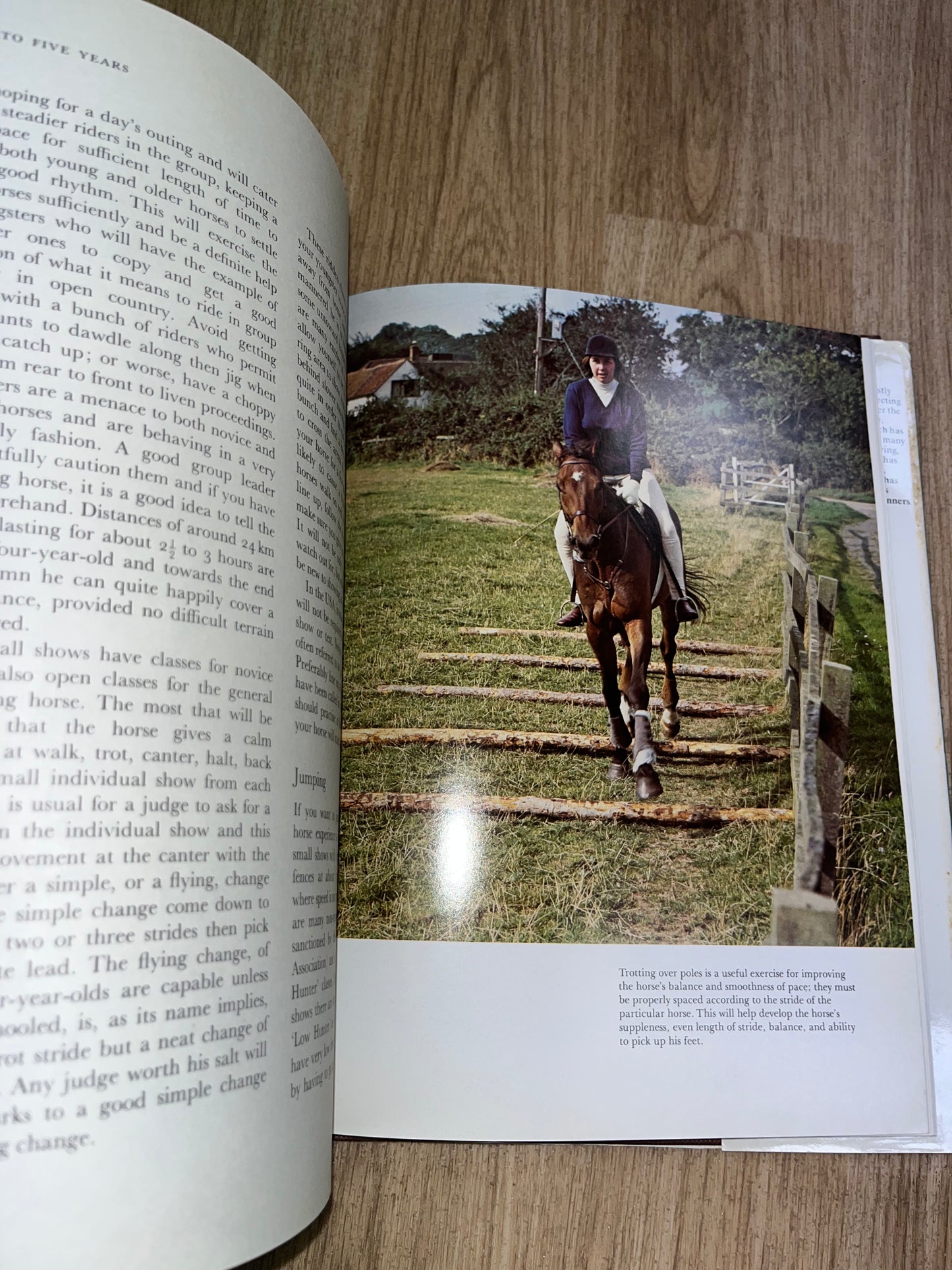Foal To Five Years