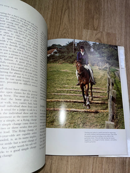 Foal To Five Years