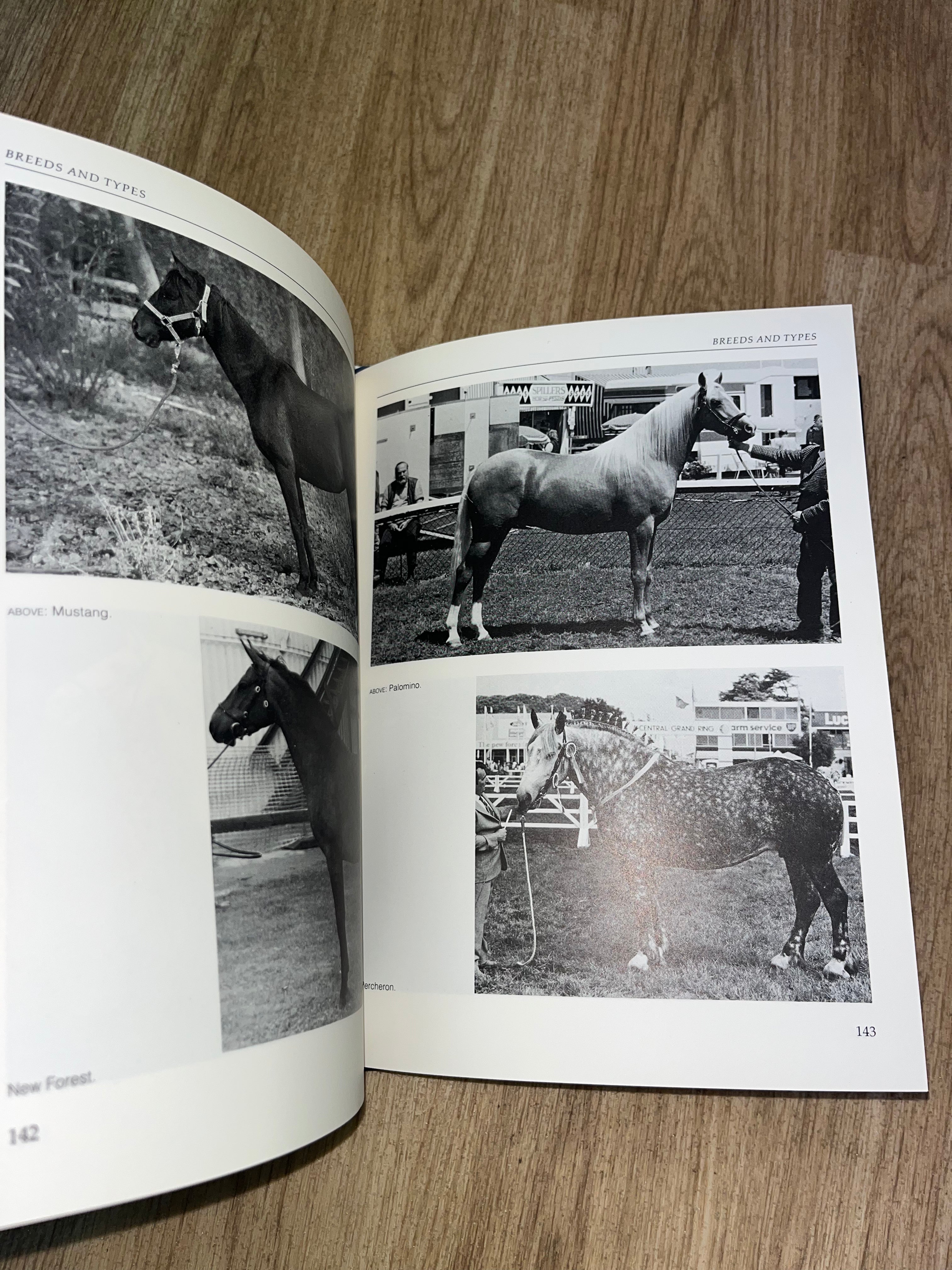 A Photographic Guide To Conformation