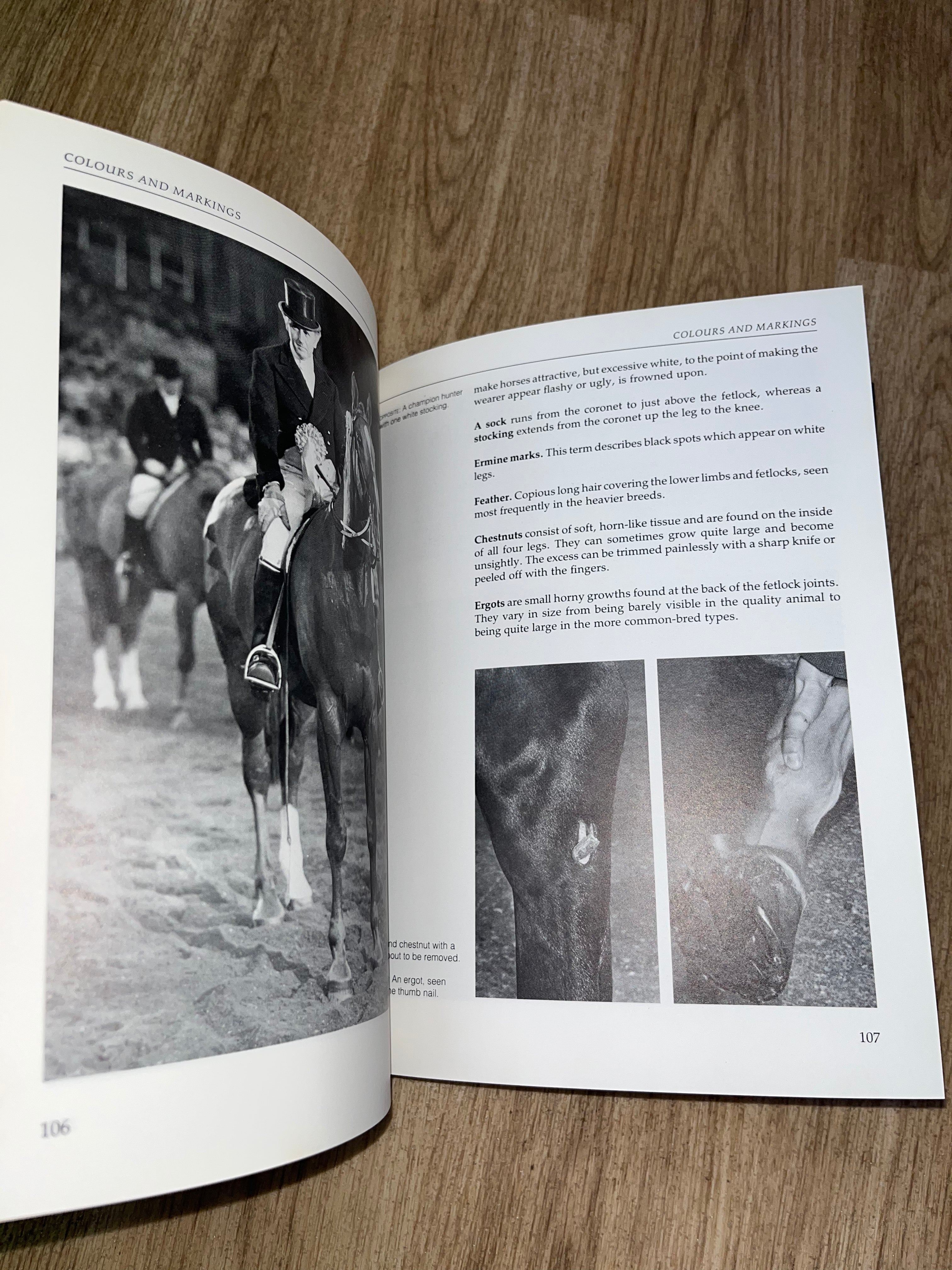 A Photographic Guide To Conformation