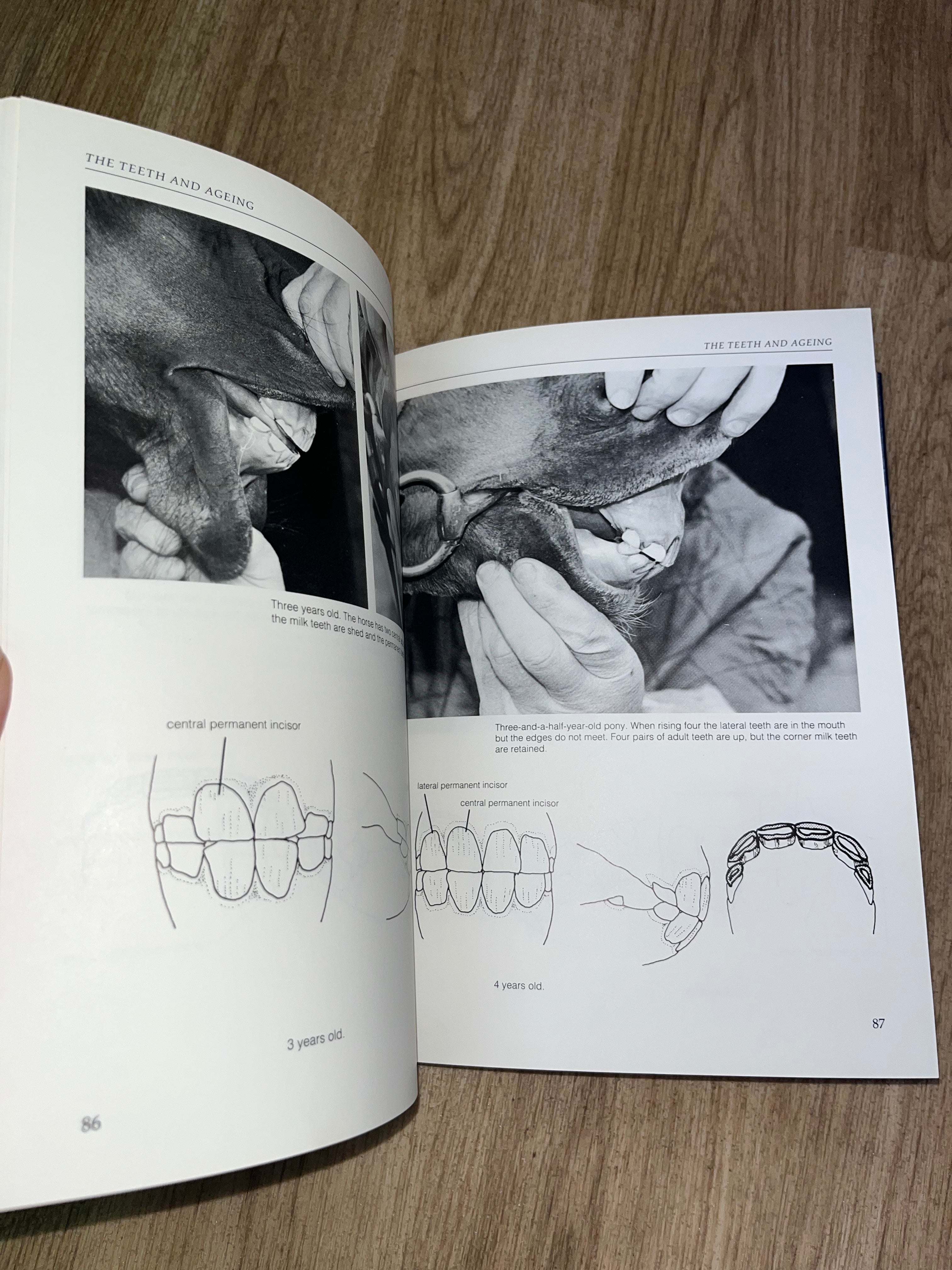 A Photographic Guide To Conformation