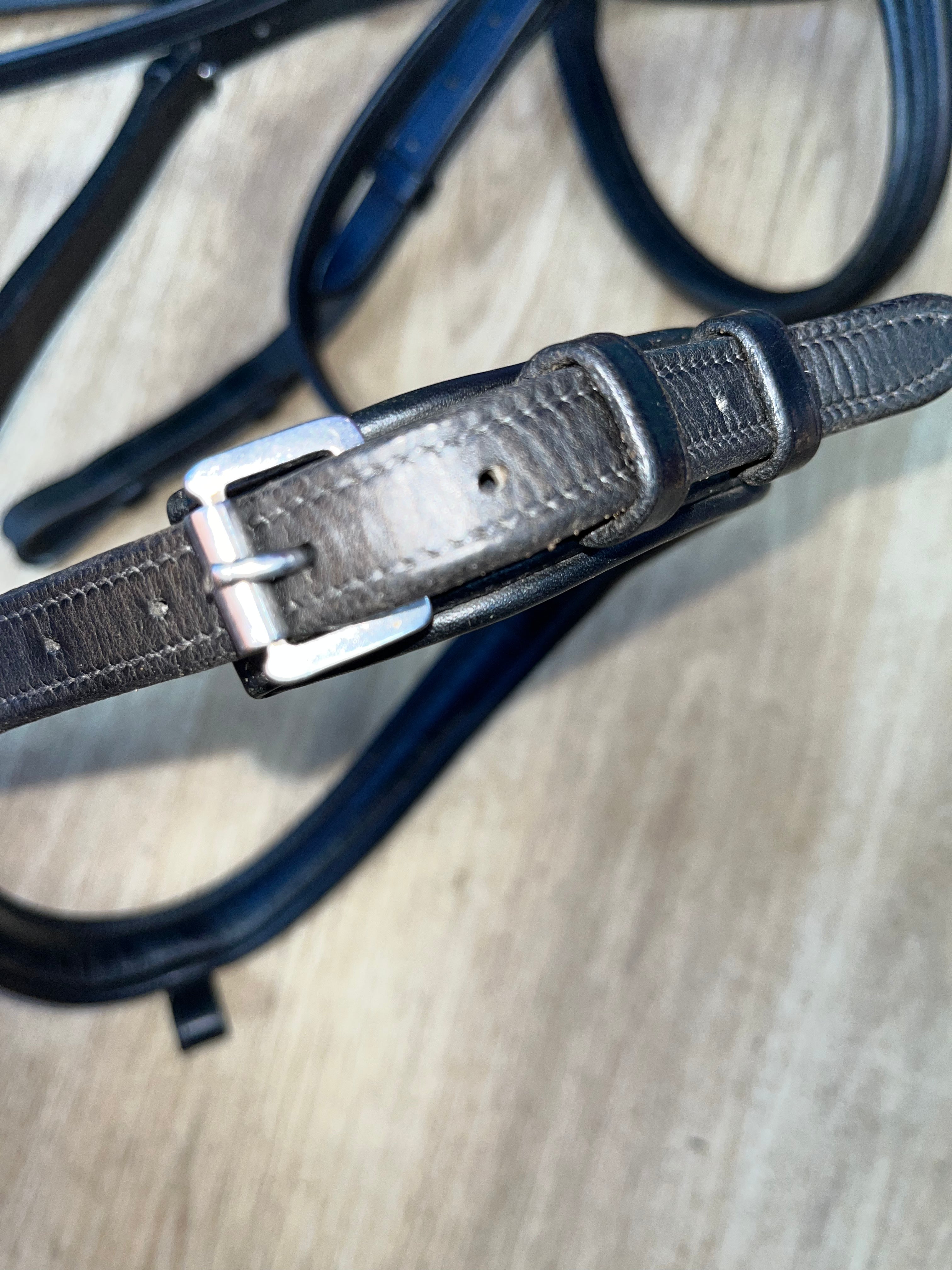 Mark Todd Black Bridle Cob #8