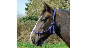 Rhinegold BLACK Rope Halter