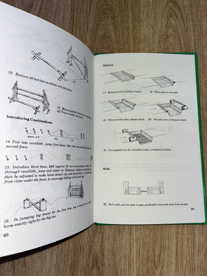 The Early Training Of The Horse