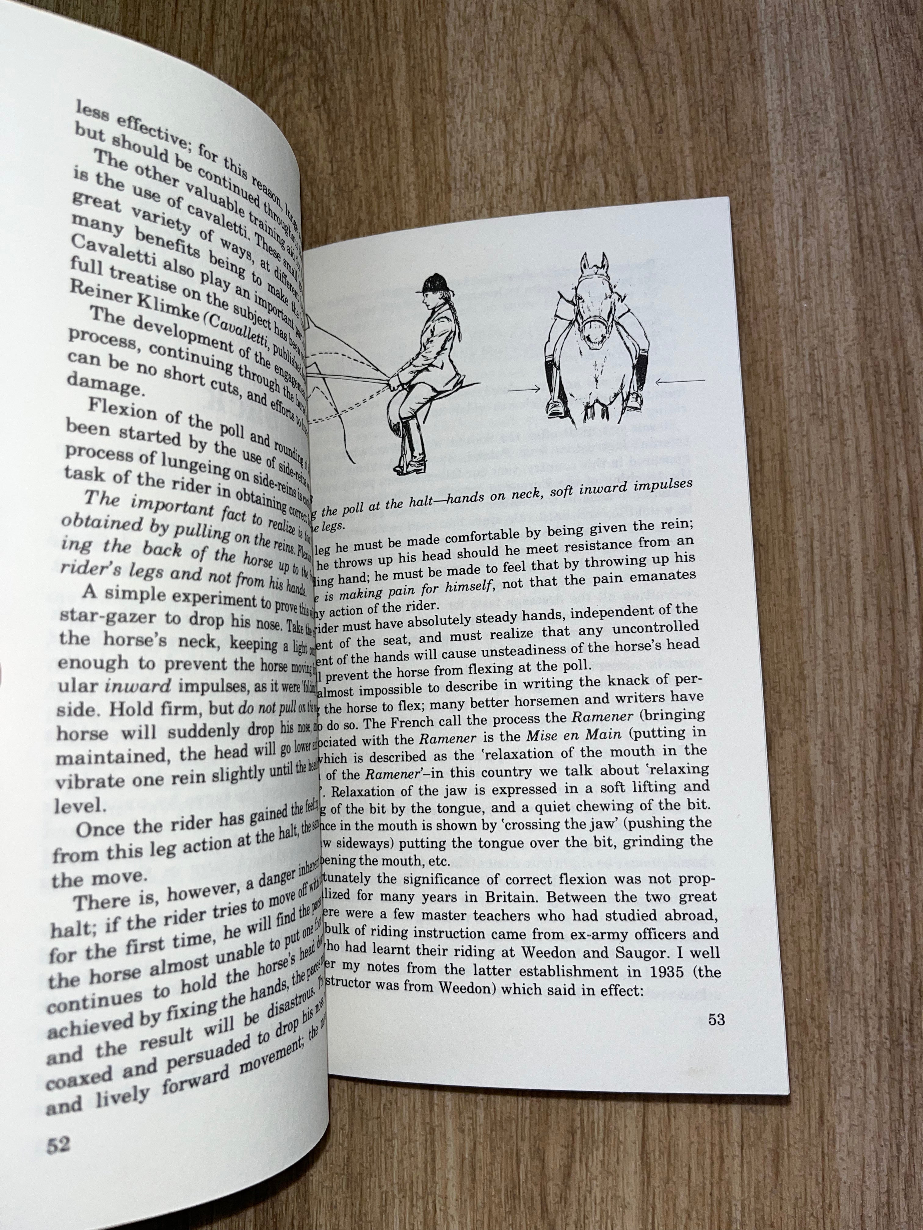 The Early Training Of The Horse