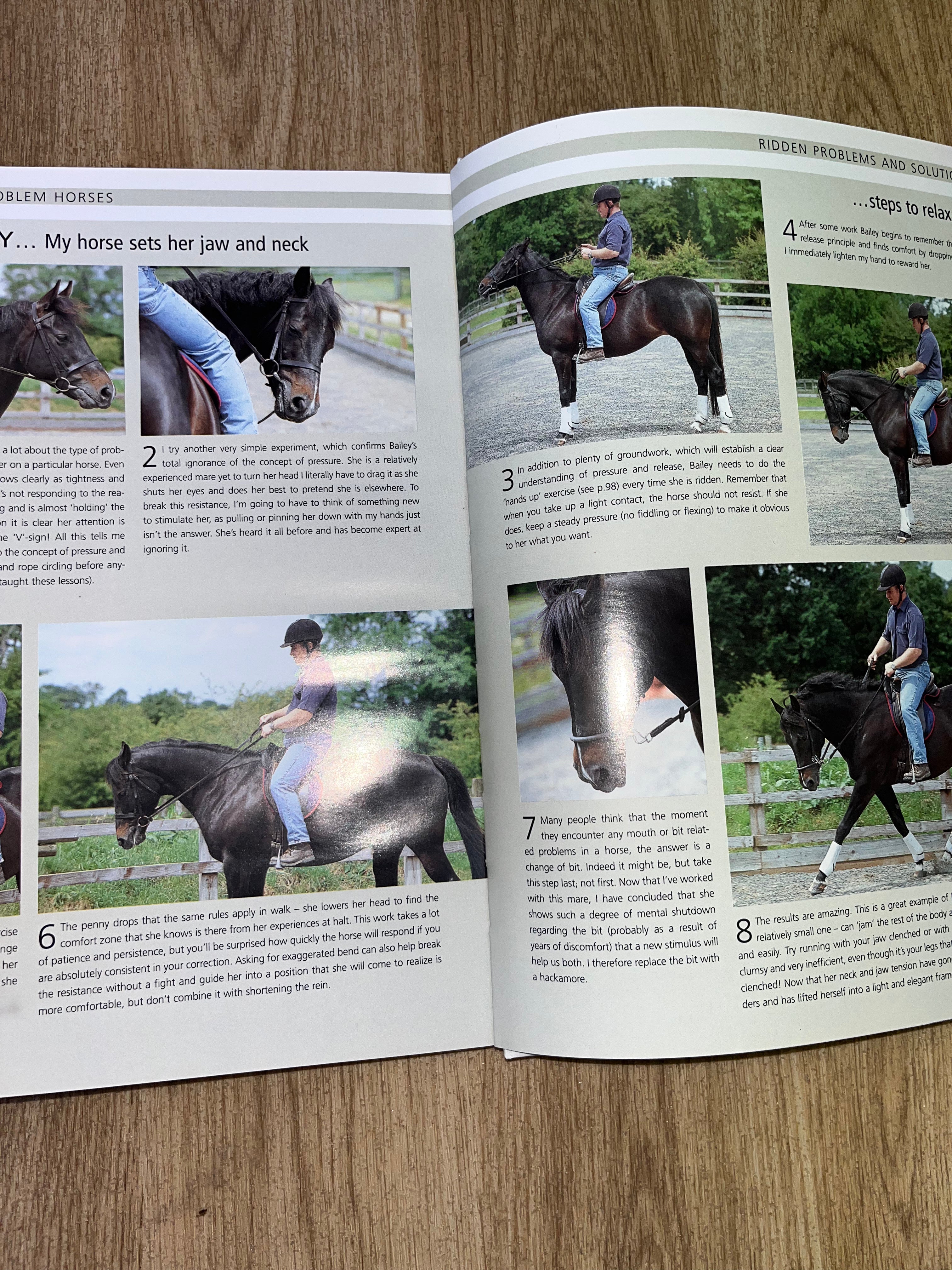 Unlock Your Horses Talent