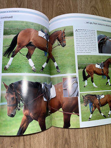 Unlock Your Horses Talent