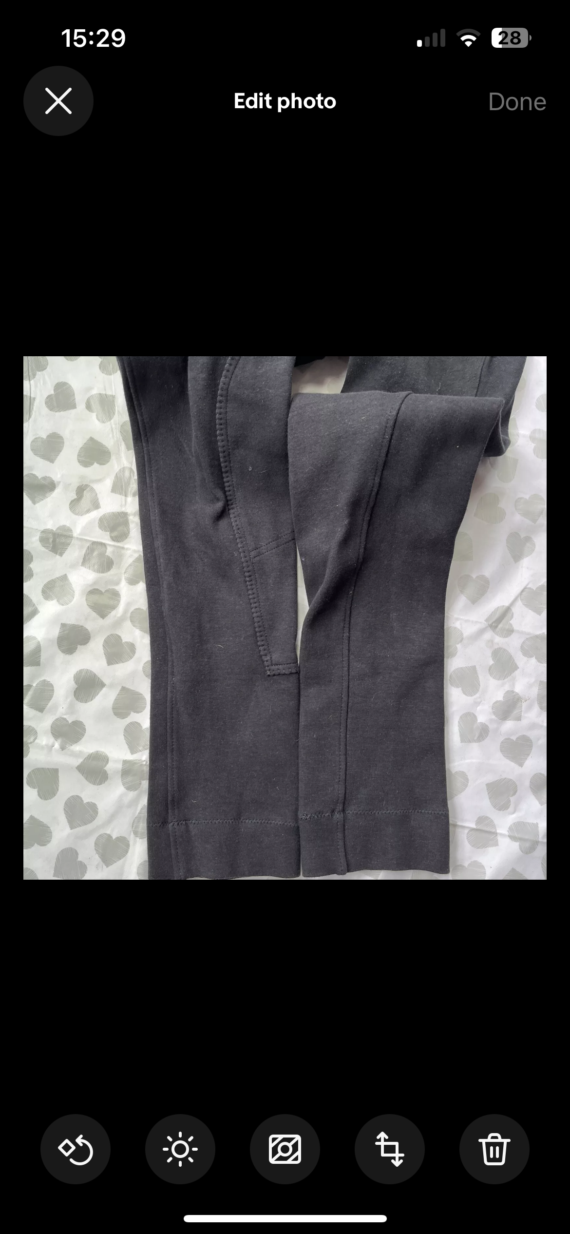 Toggi Ladies Jodphurs Size 28”