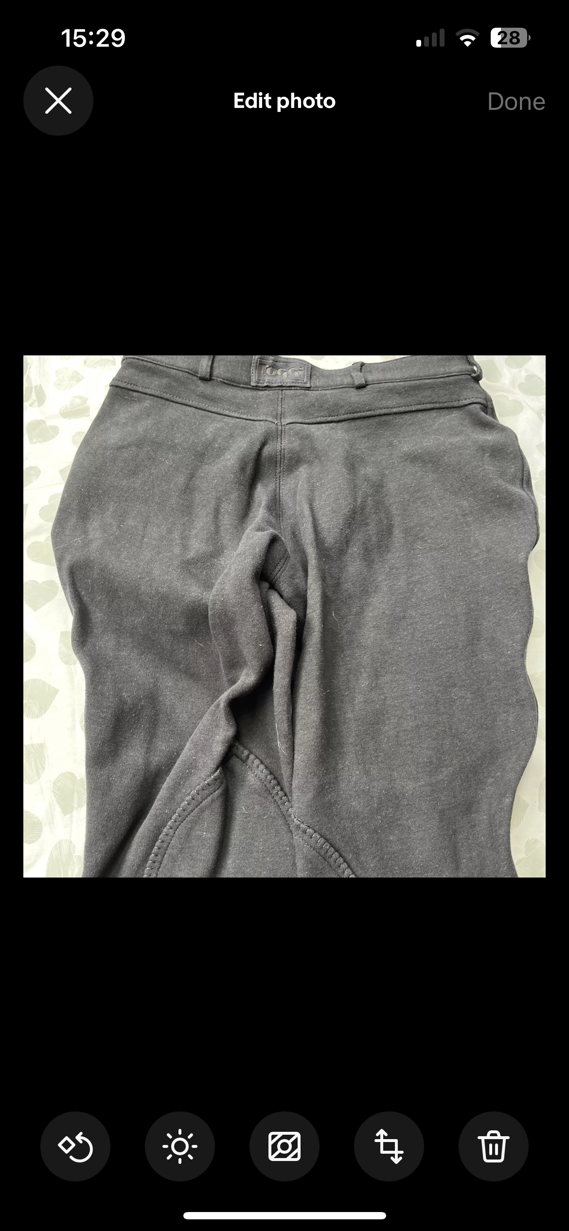 Toggi Ladies Jodphurs Size 28”