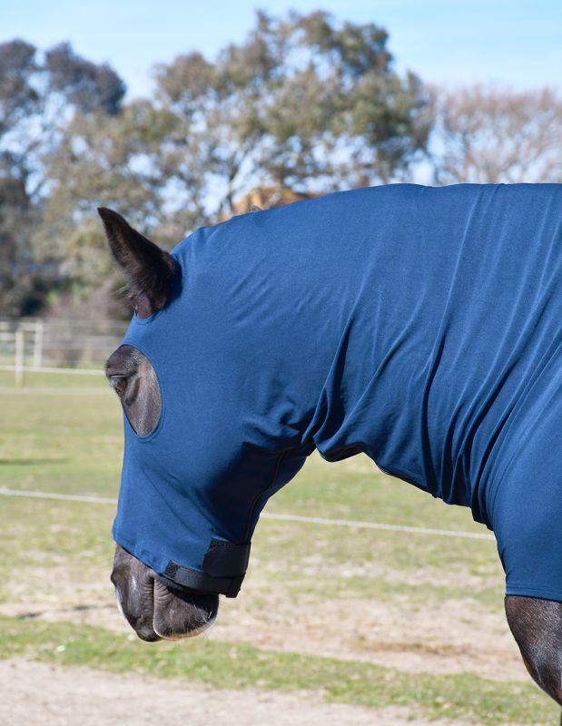 Rhinegold Lycra Hood With Face