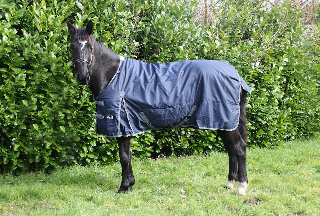 Jump 100gm Turnout Rug