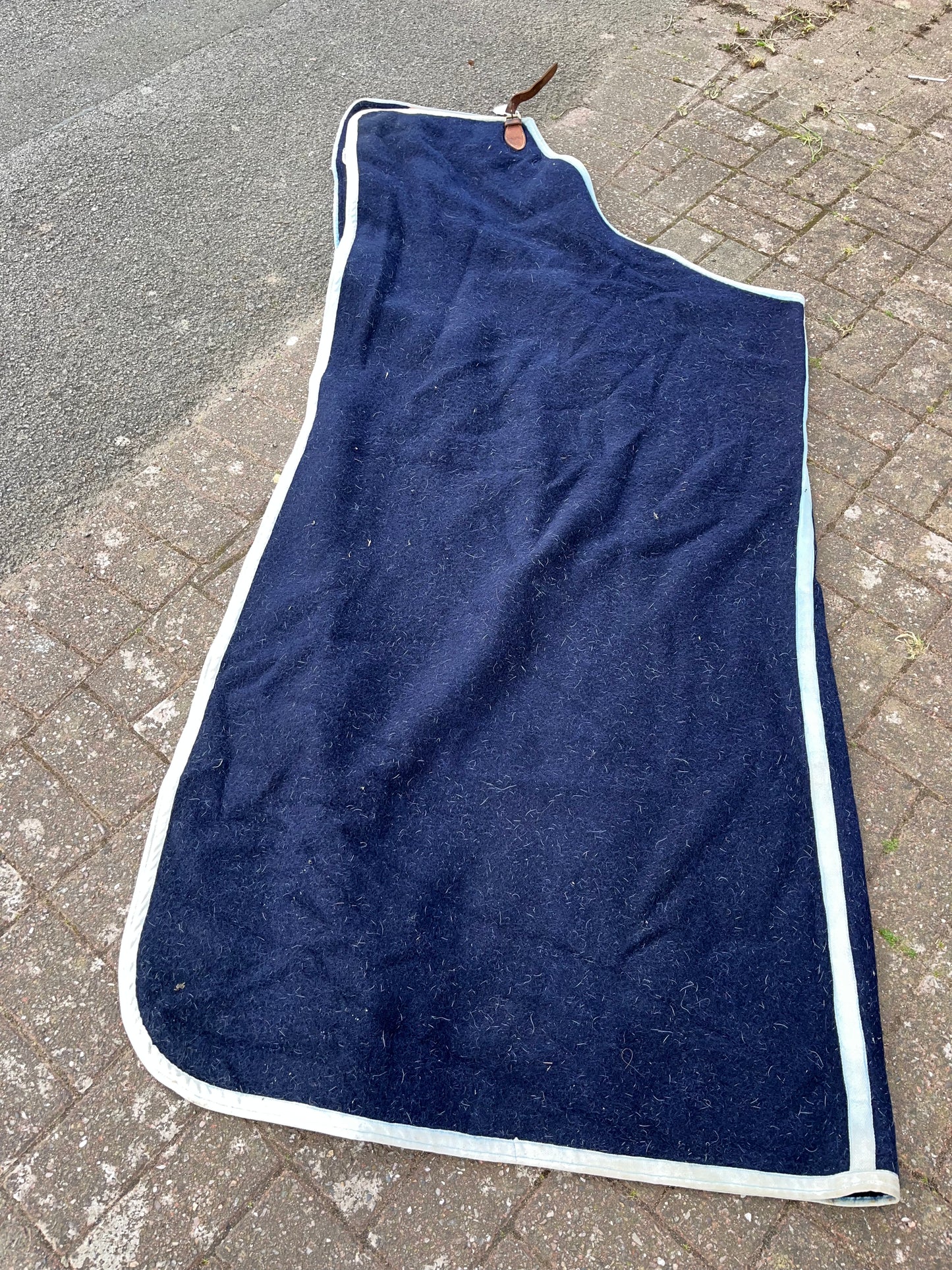 Kings Head Stable Wool Rug 6’3