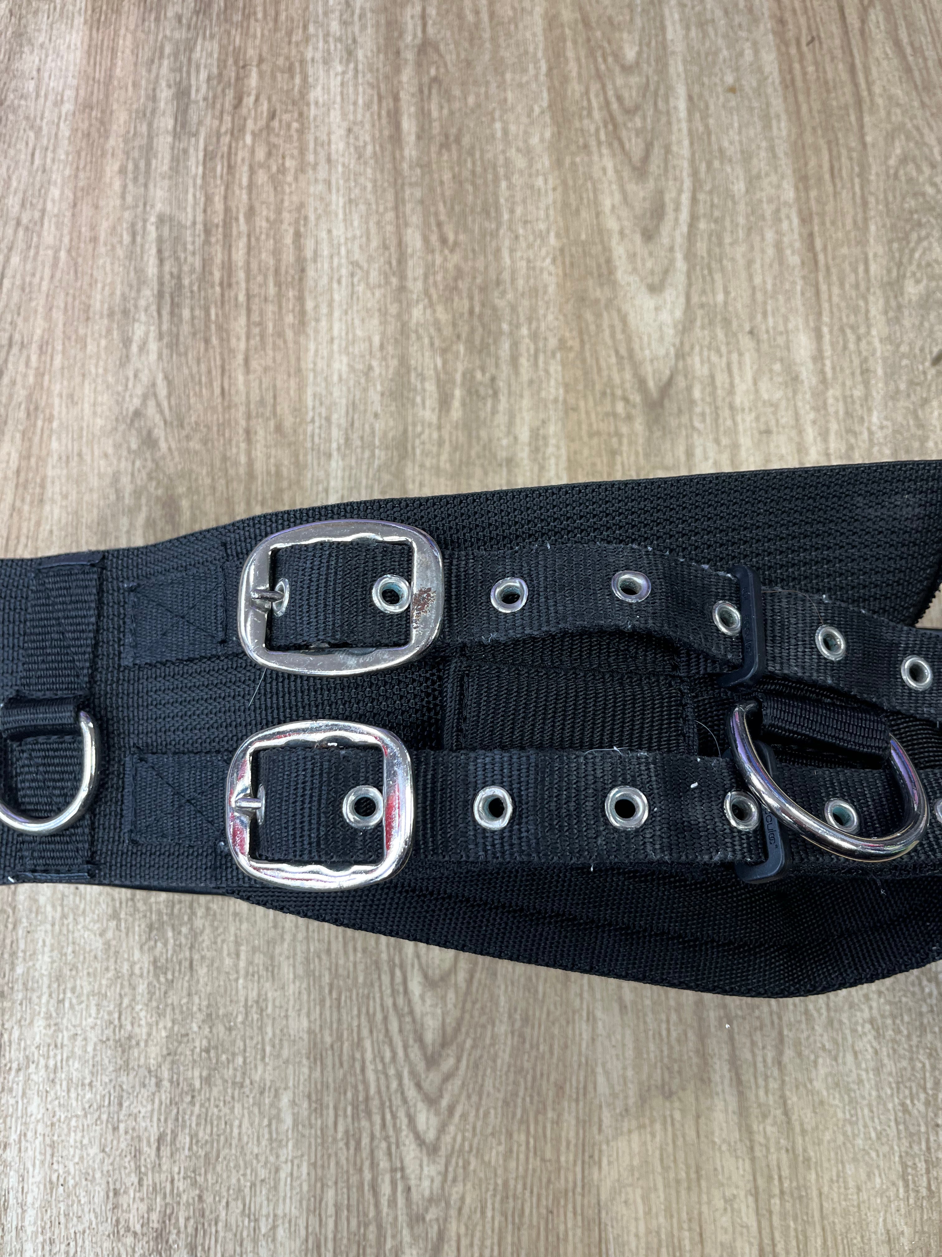 Eclipse Black Lunging Roller Full