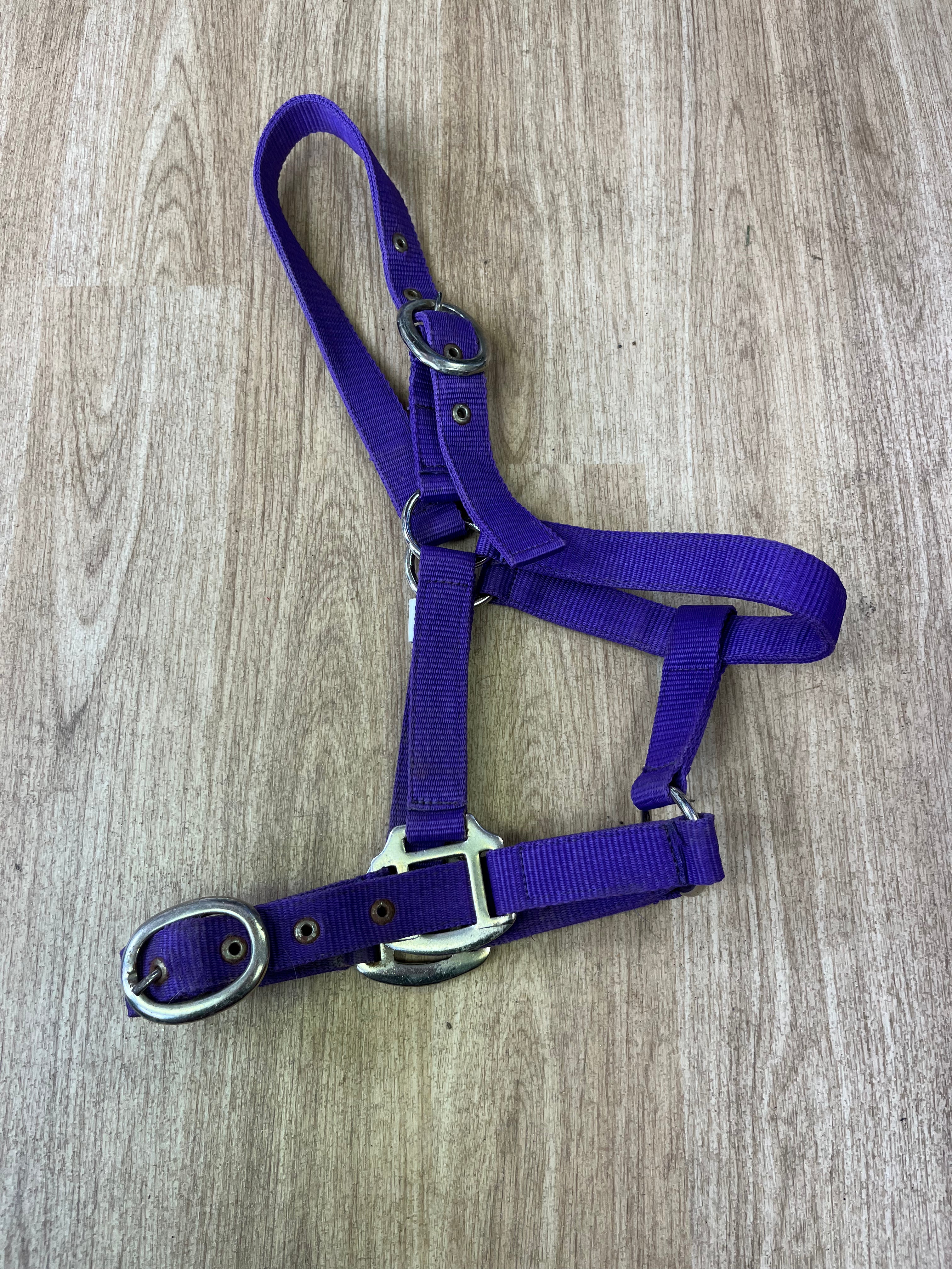 Pony Nylon Headcollar Purple