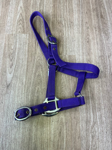 Pony Nylon Headcollar Purple