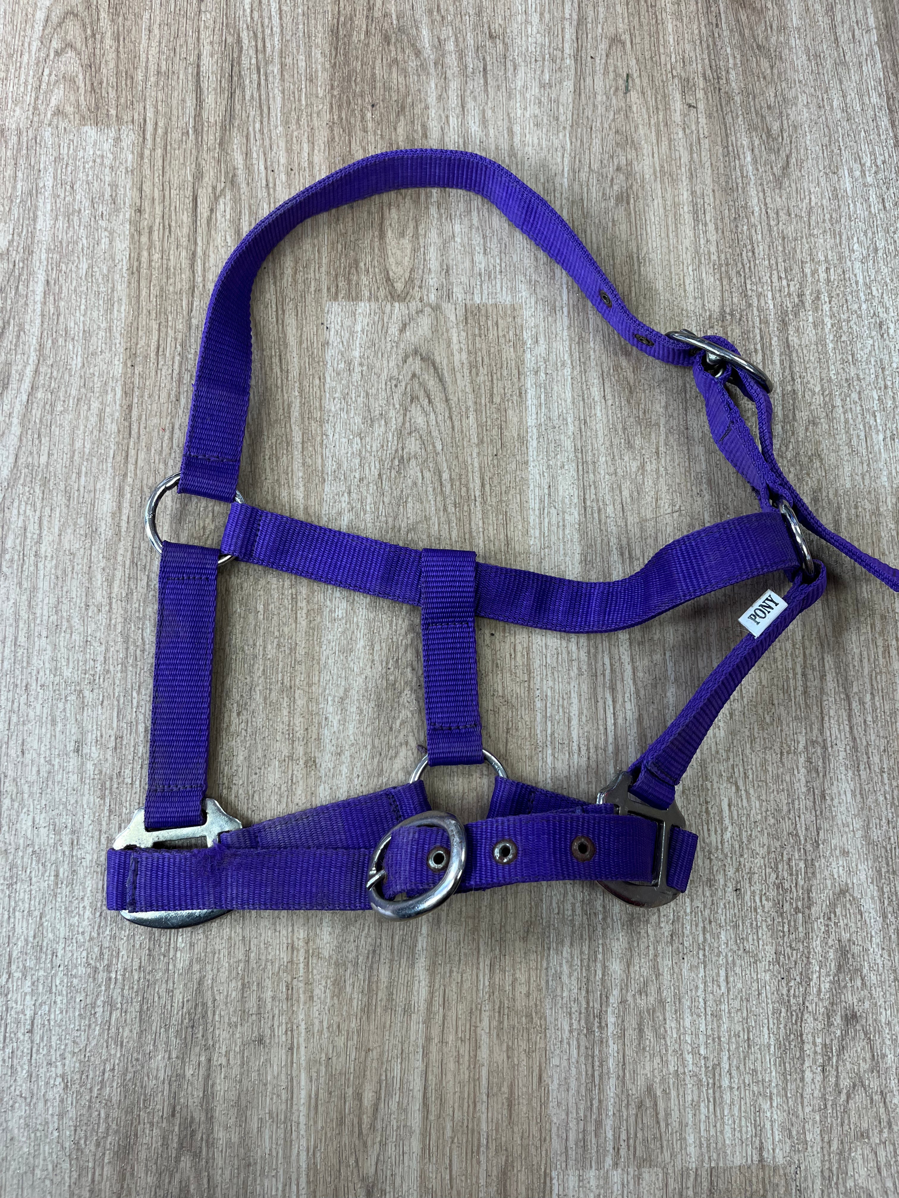 Pony Nylon Headcollar Purple