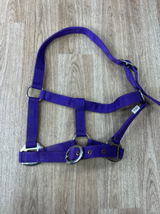 Pony Nylon Headcollar Purple