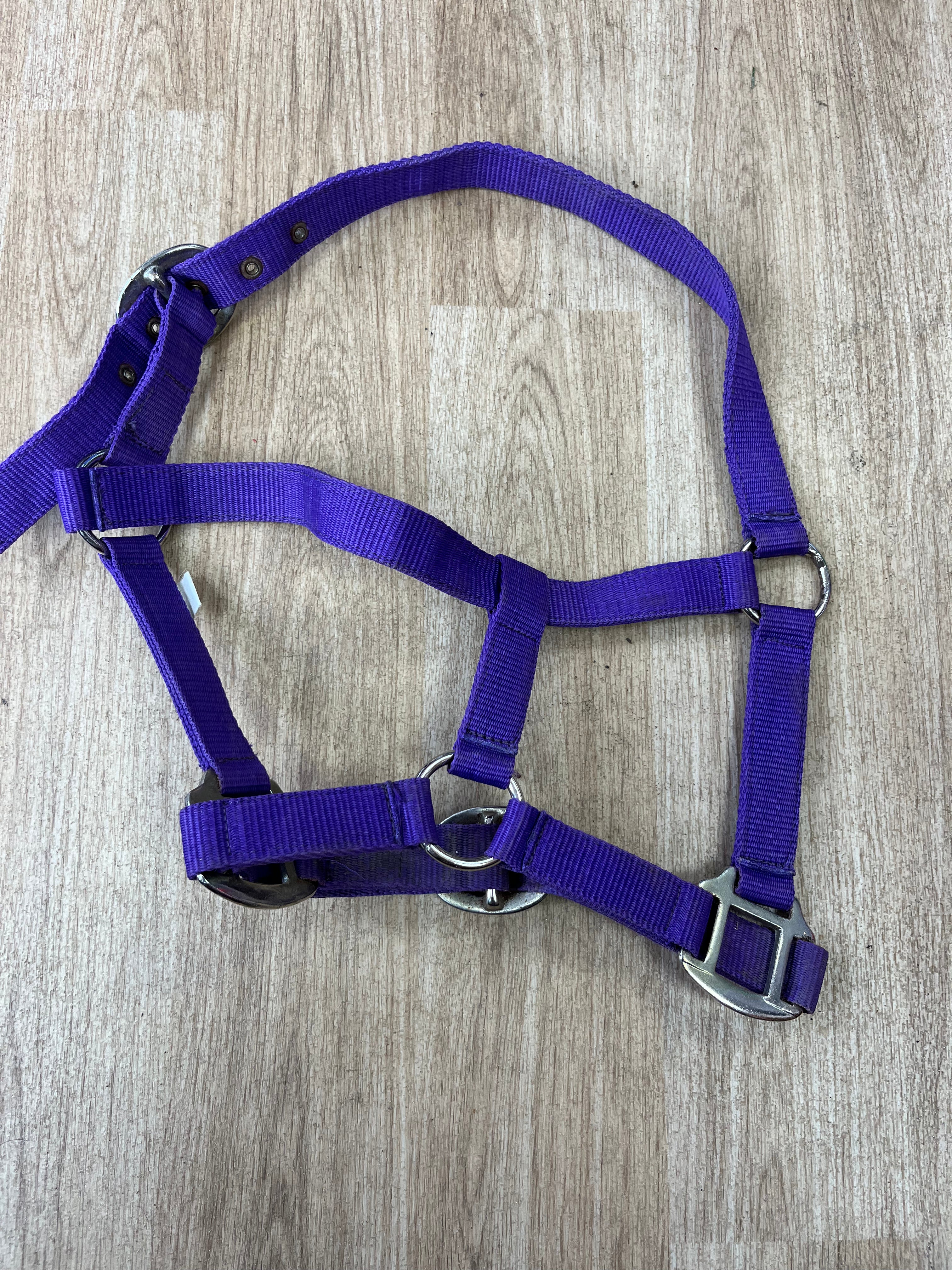 Pony Nylon Headcollar Purple